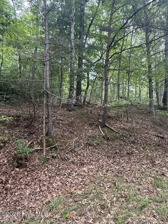 Lot #46 Pine Cove Lane Property Photo 13