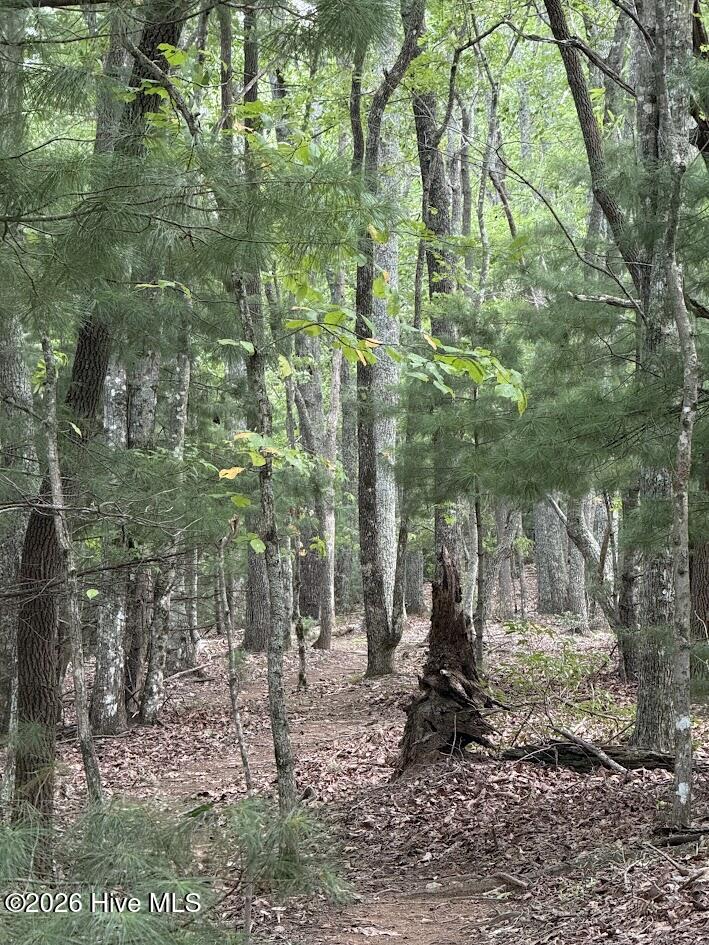 Lot #46 Pine Cove Lane Property Photo 14