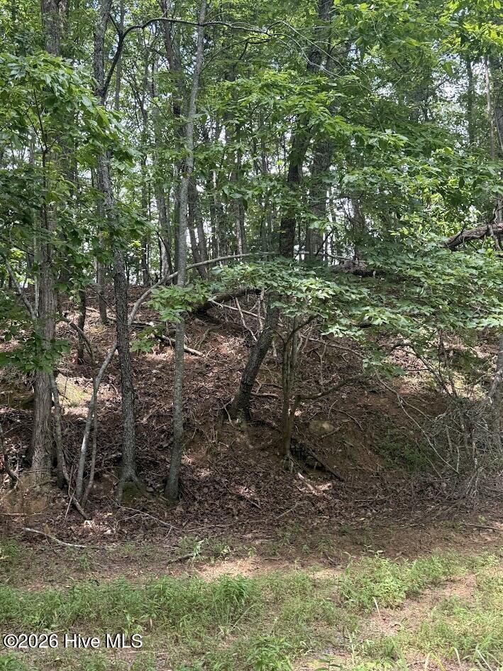 Lot #46 Pine Cove Lane Property Photo 15