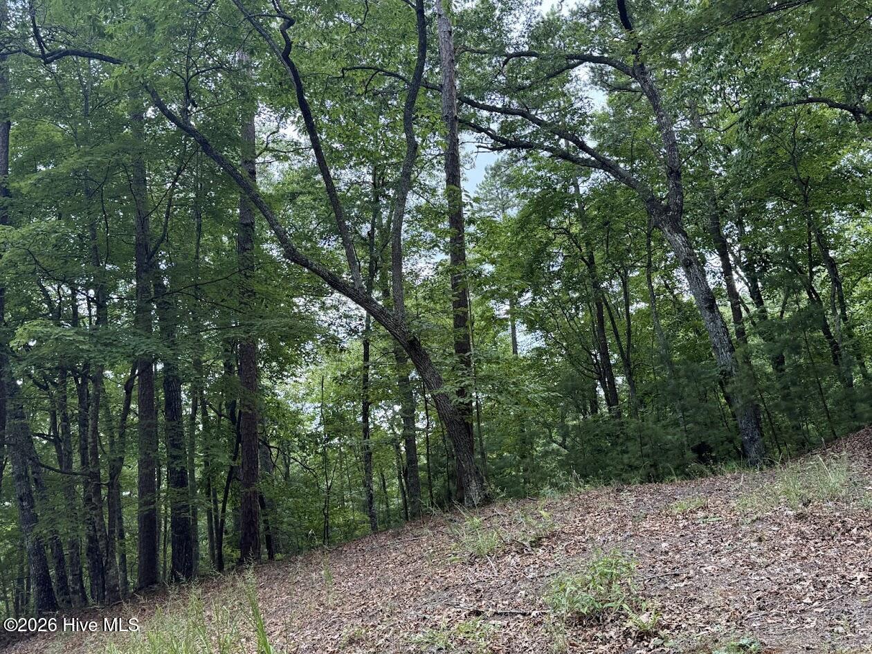Lot #46 Pine Cove Lane Property Photo 18
