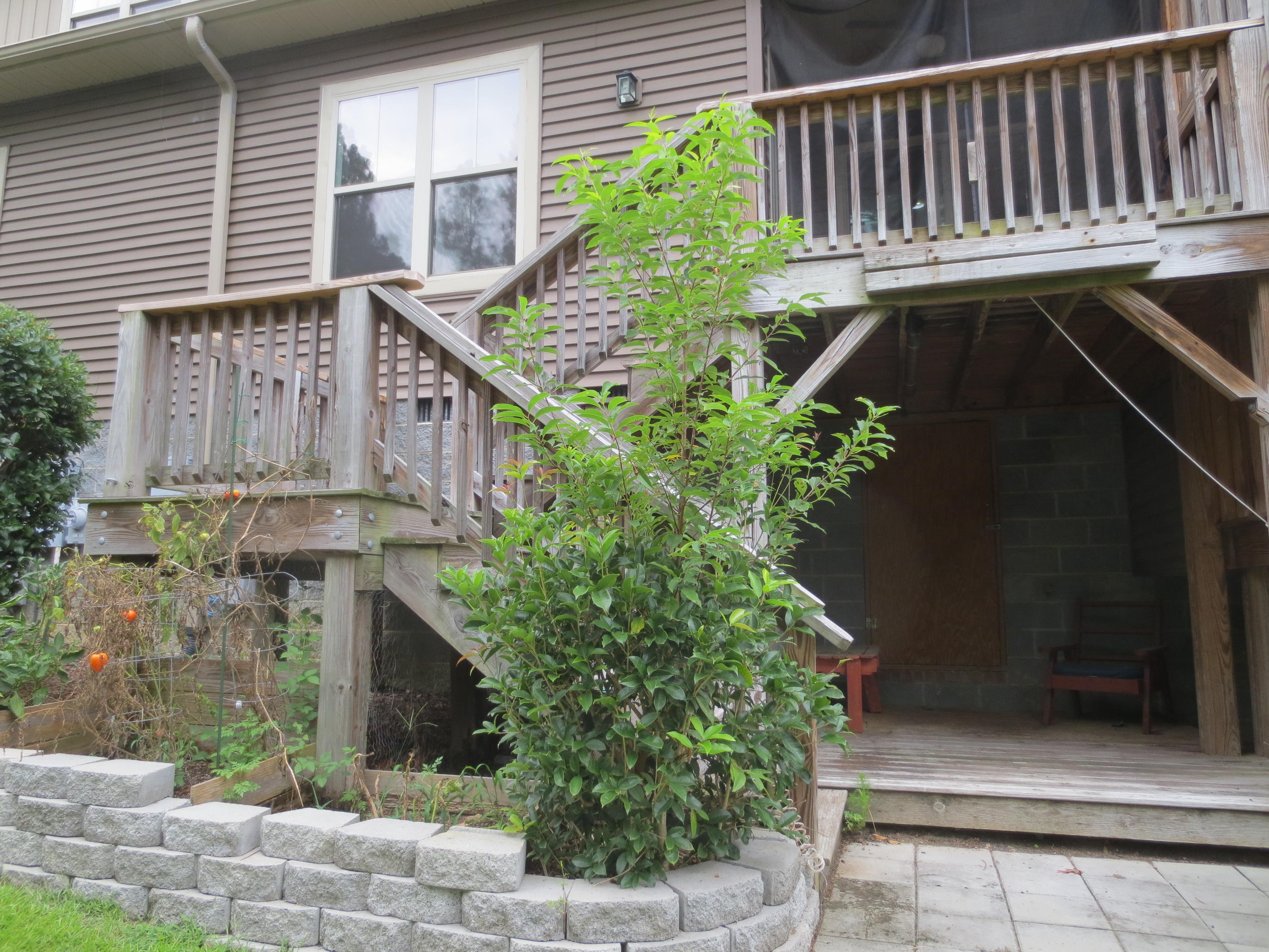 102 Cypress Circle Property Photo 19