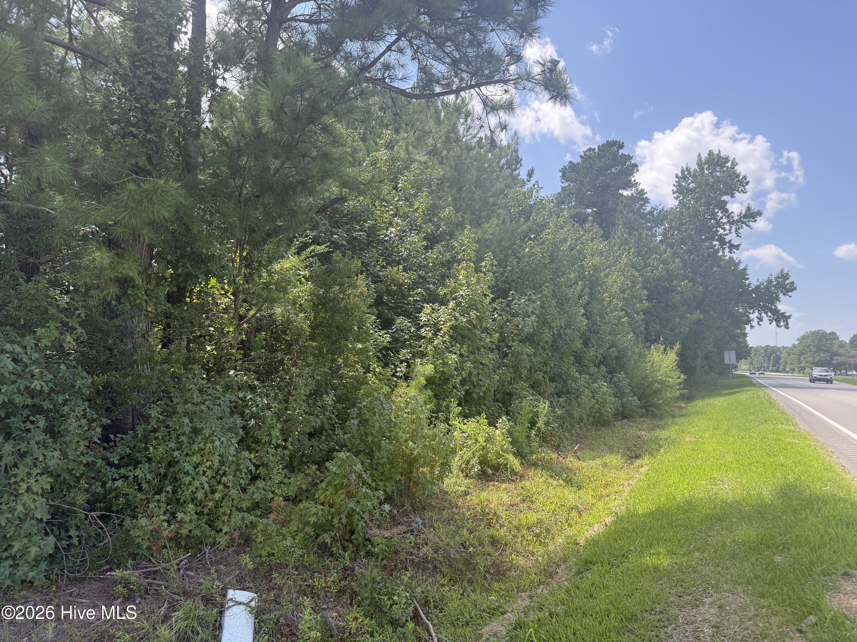 Near 26880 Near 26880 Andrew Ja Highway E Property Photo 3