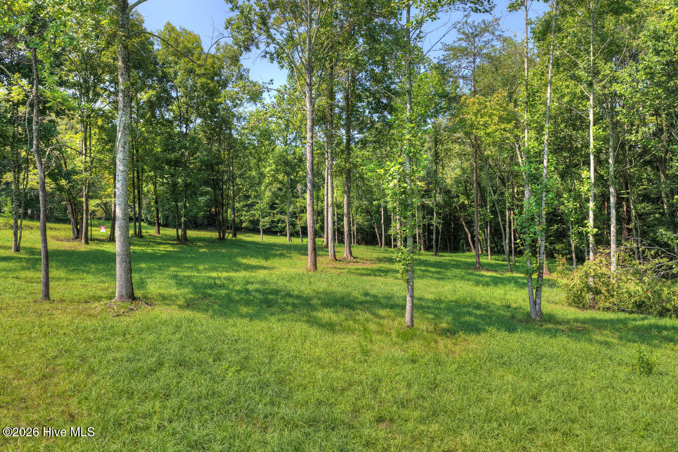 0 Wolfcreek Road Property Photo 1