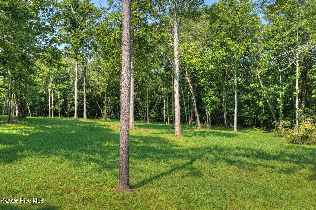 0 Wolfcreek Road Property Photo 6