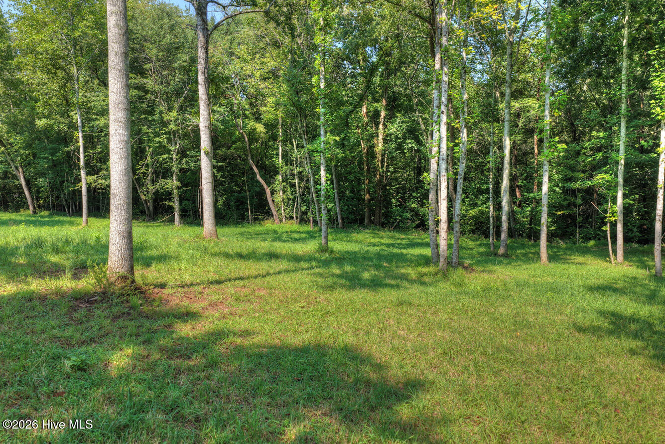 0 Wolfcreek Road Property Photo 7