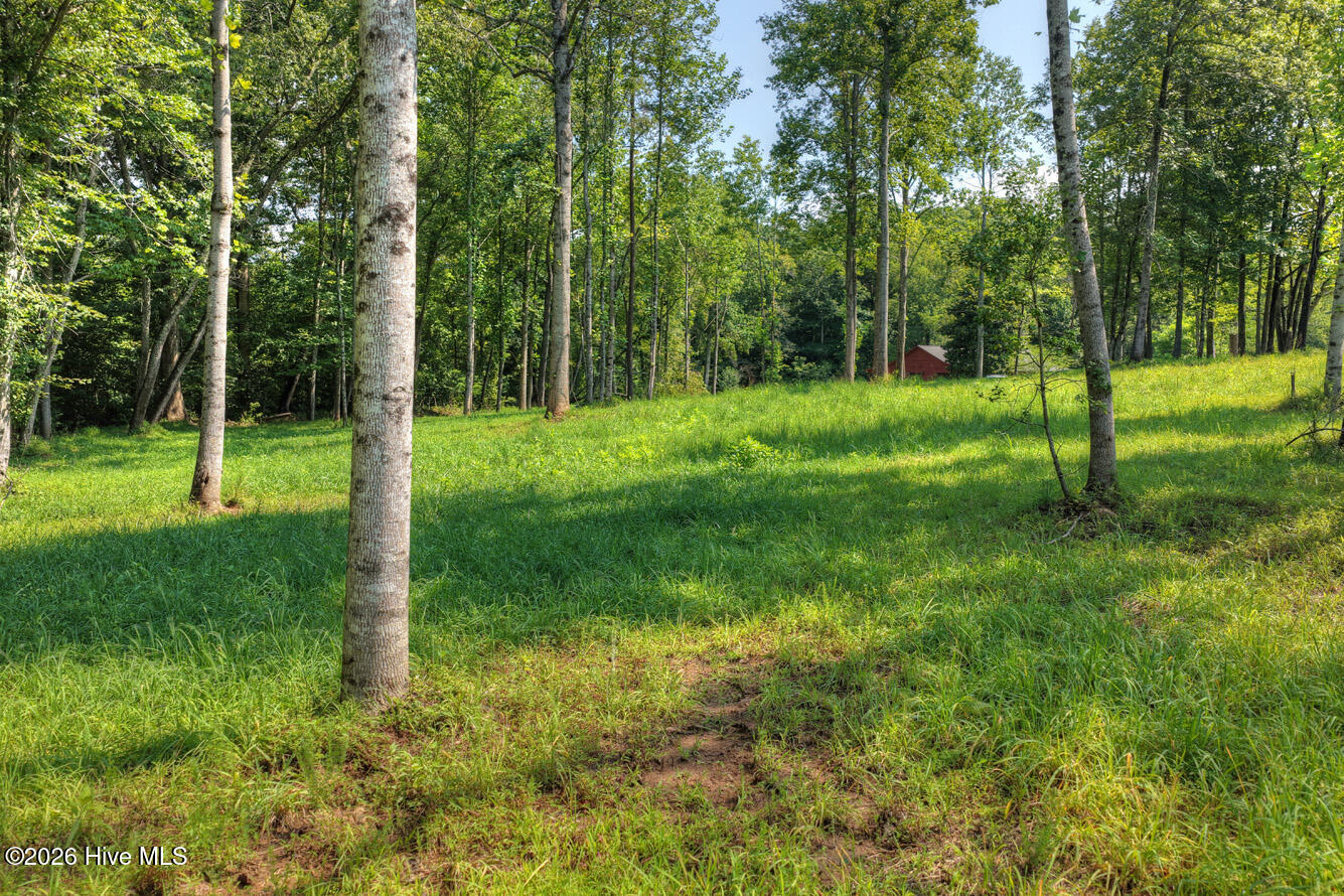 0 Wolfcreek Road Property Photo 8