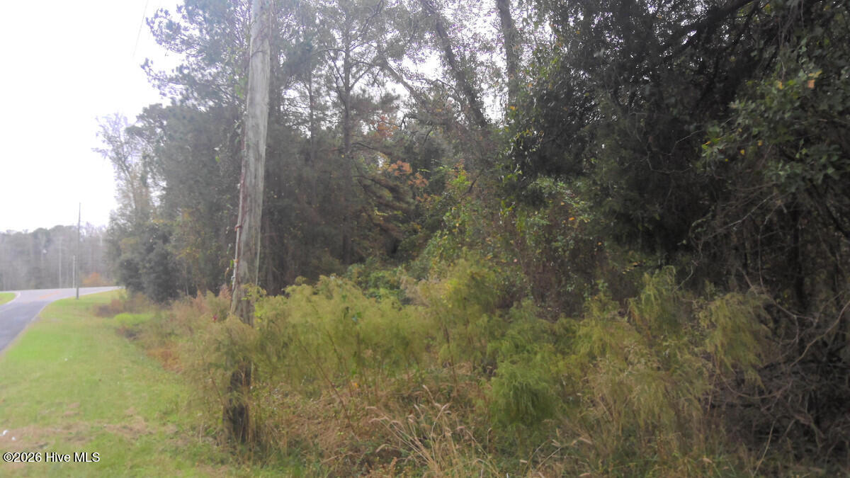 2.02 Ac S Highway 258 S Property Photo 2