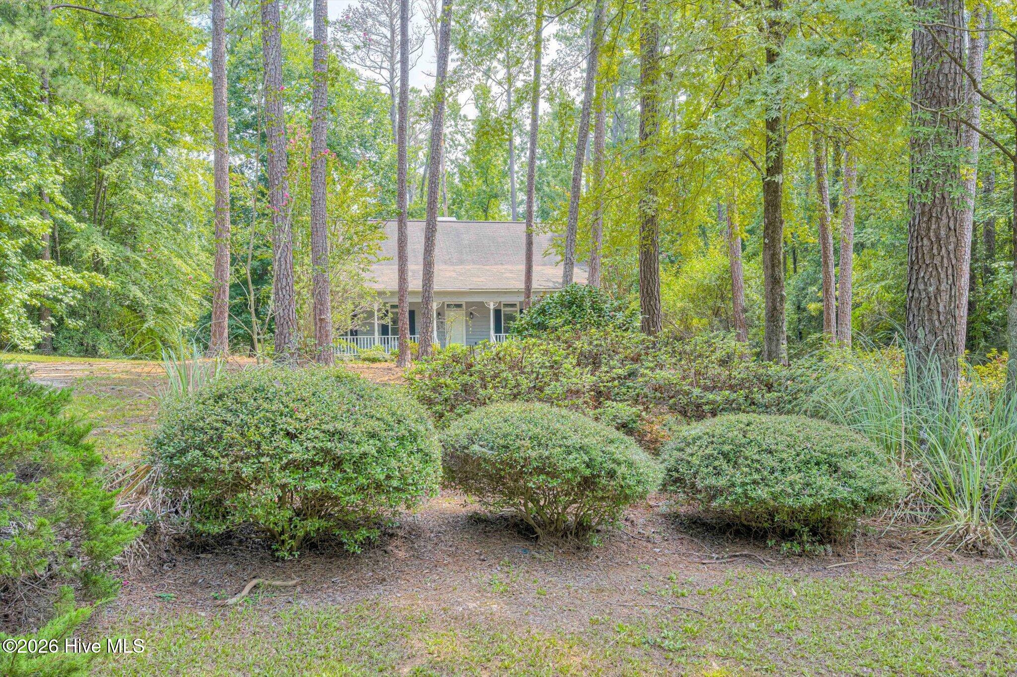 1827 Birch Drive Property Photo 3