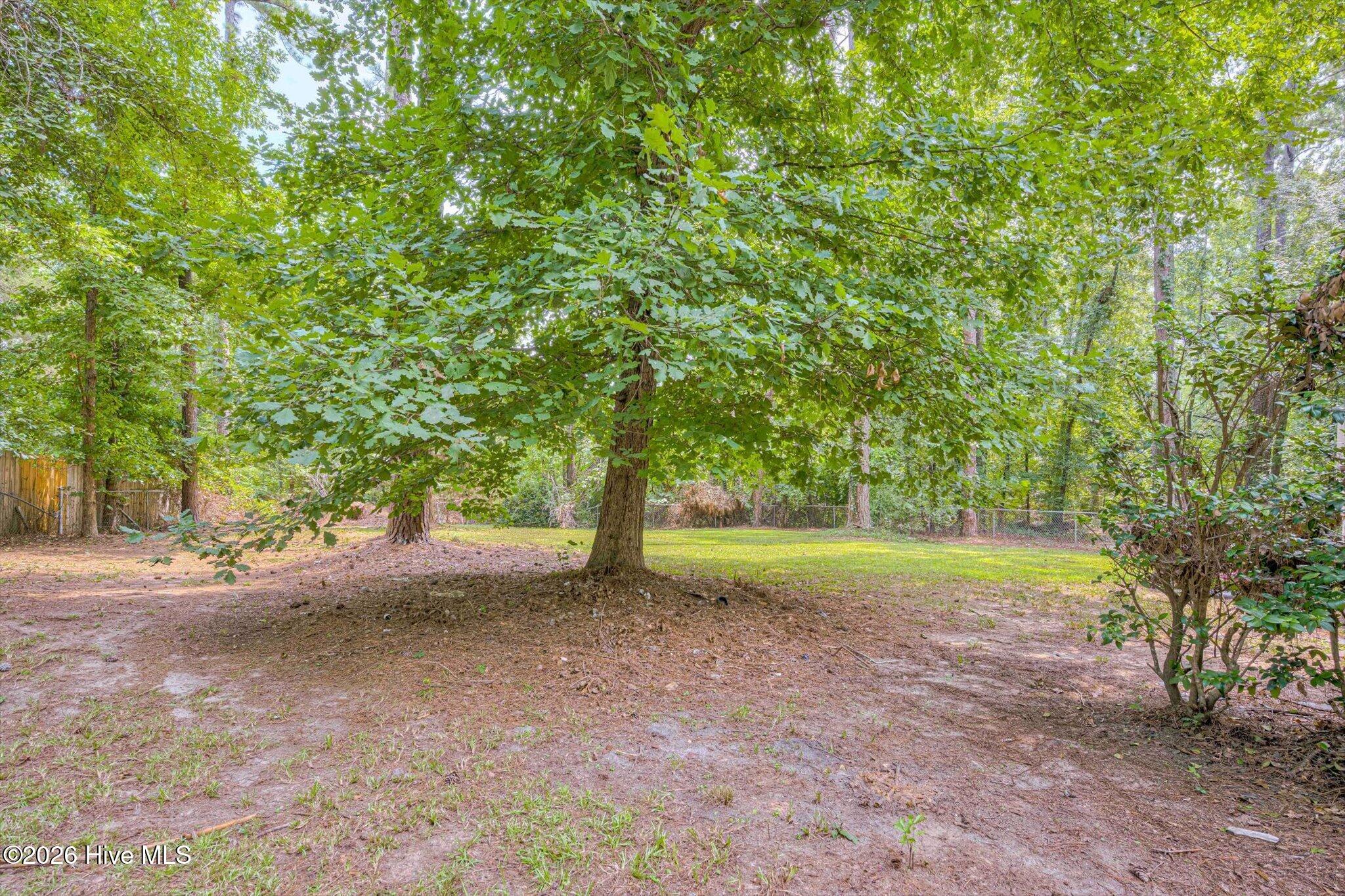 1827 Birch Drive Property Photo 38