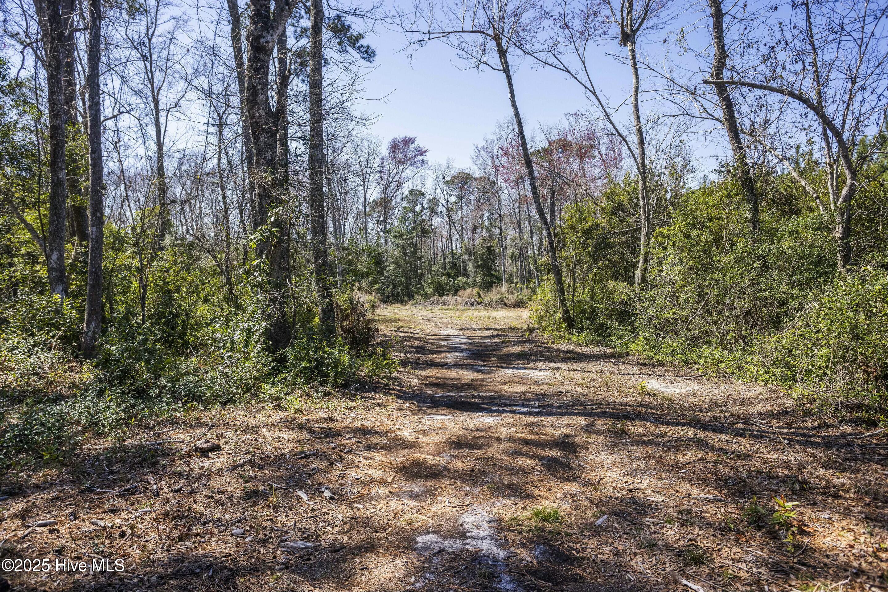 634 Persimmon Road Property Photo 24