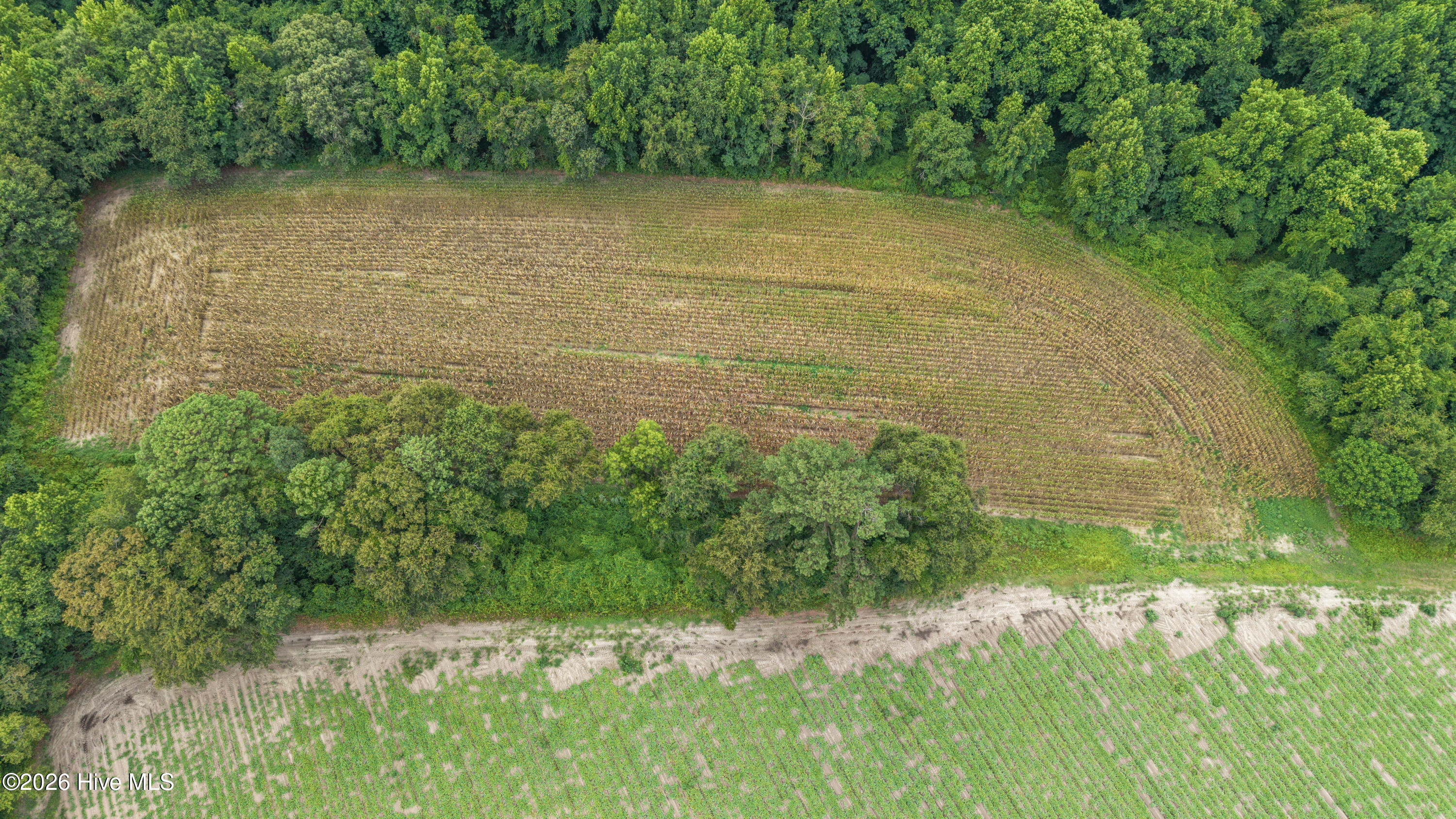 Tbd Nc-403 Property Photo 43