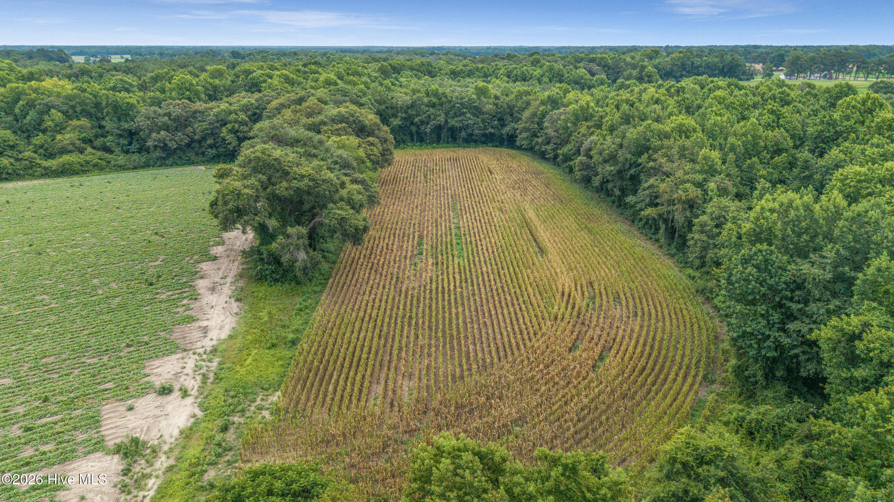 Tbd Nc-403 Property Photo 44