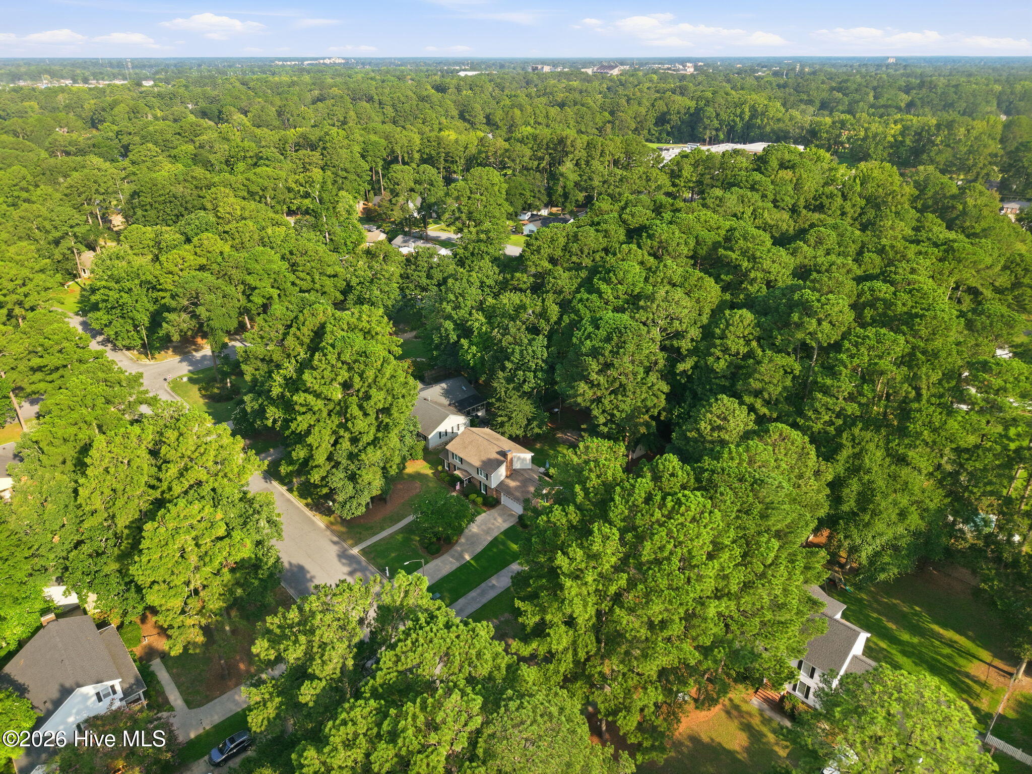 1407 Rondo Drive Property Photo 47