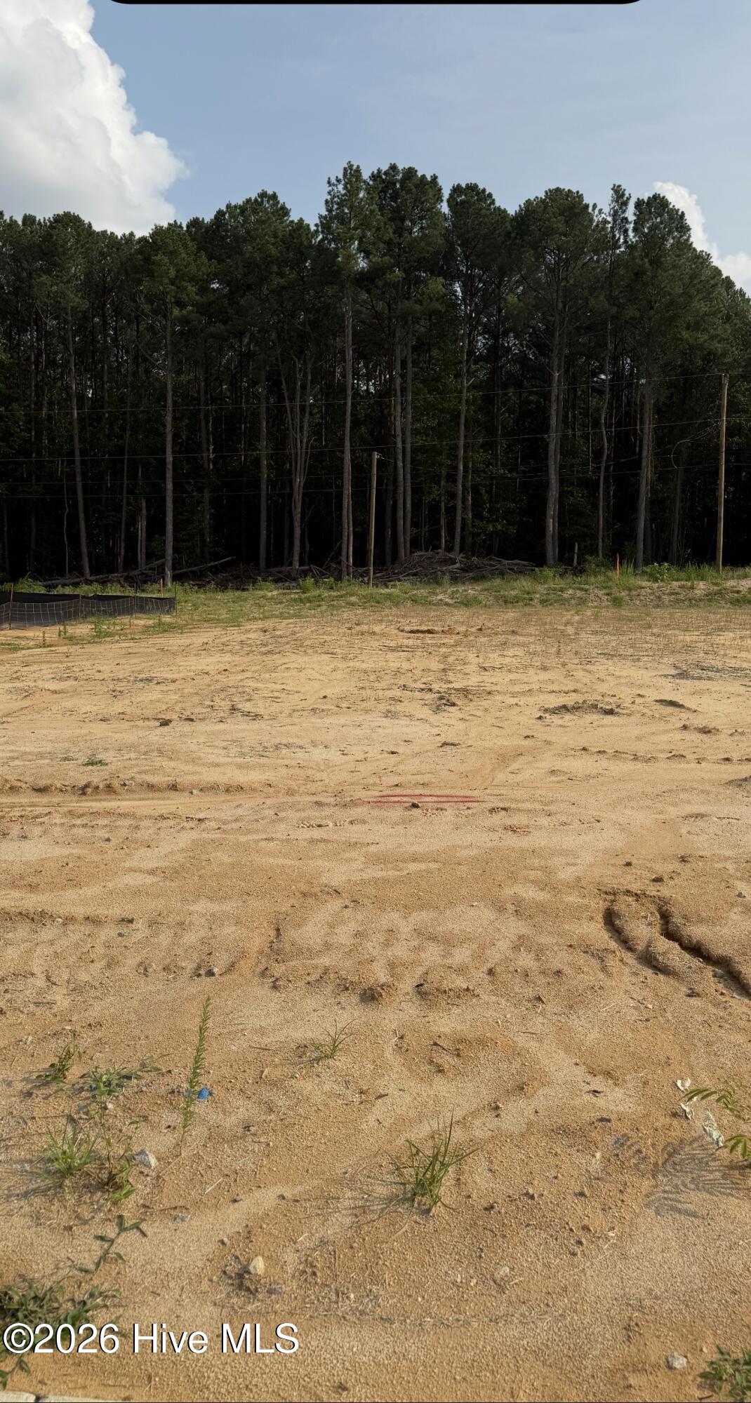 135 White Bark Avenue Lot 15 Property Photo 2