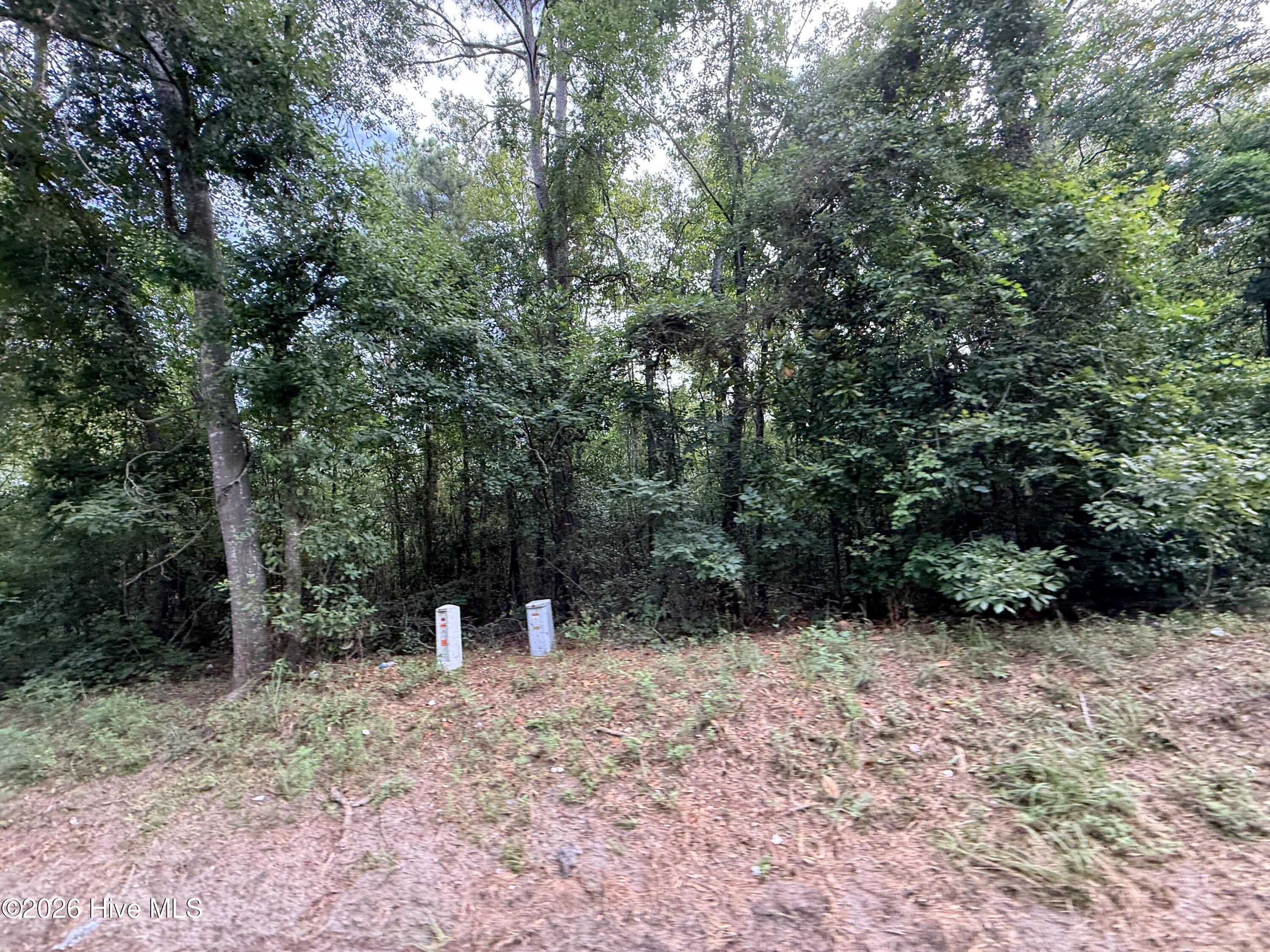 1428 Rainbow Falls Road Property Photo 2