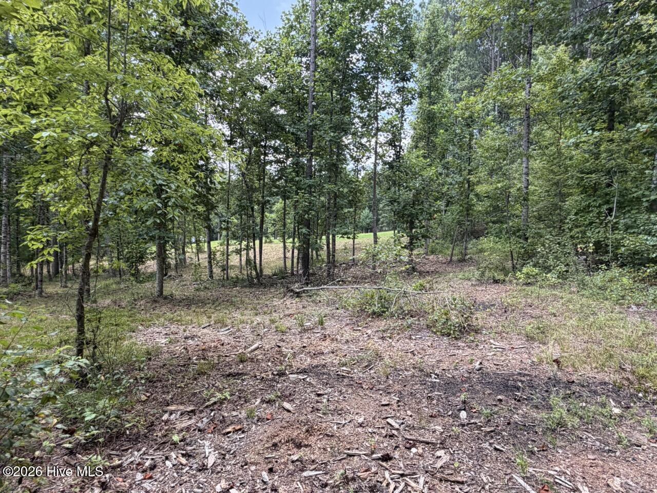 502 19 Landing Drive Property Photo 3