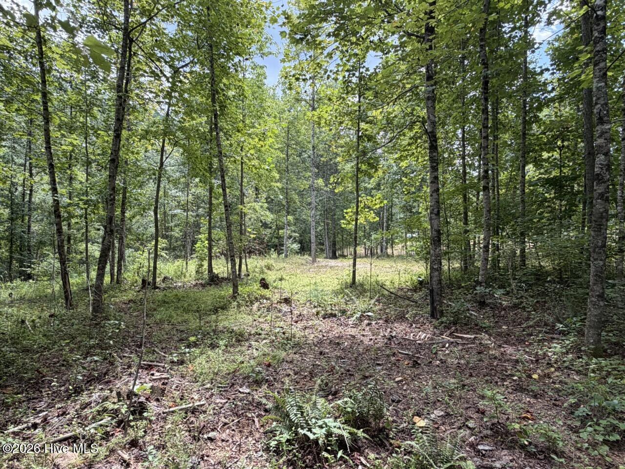 502 19 Landing Drive Property Photo 4