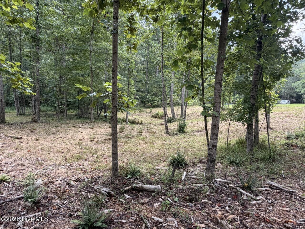 502 19 Landing Drive Property Photo 5