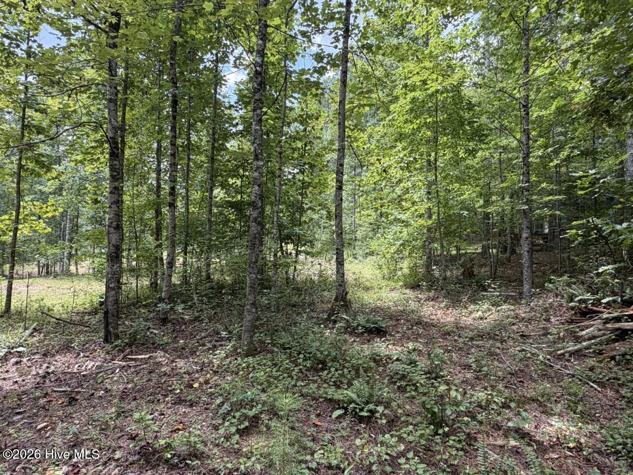 502 19 Landing Drive Property Photo 13