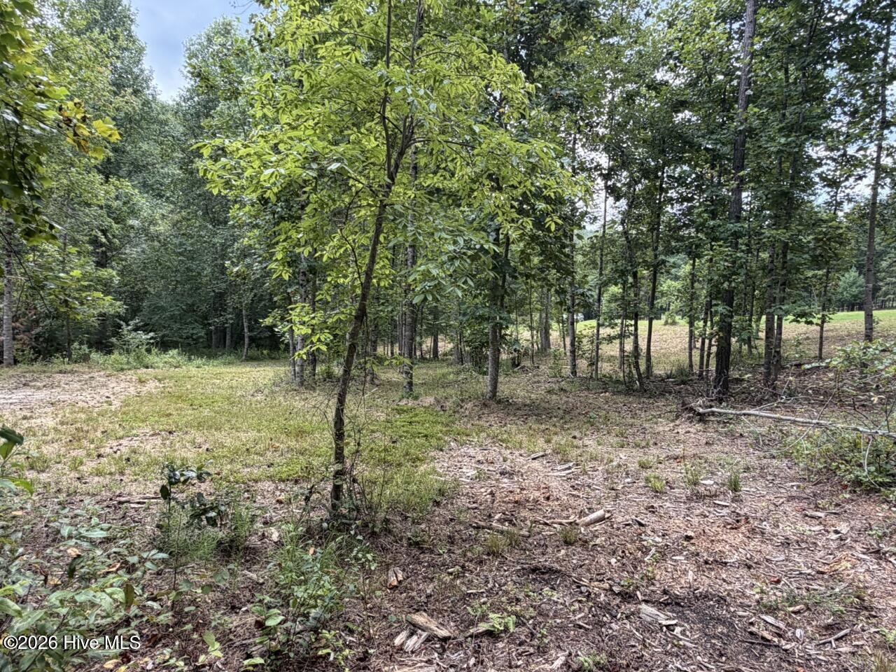 502 19 Landing Drive Property Photo 14