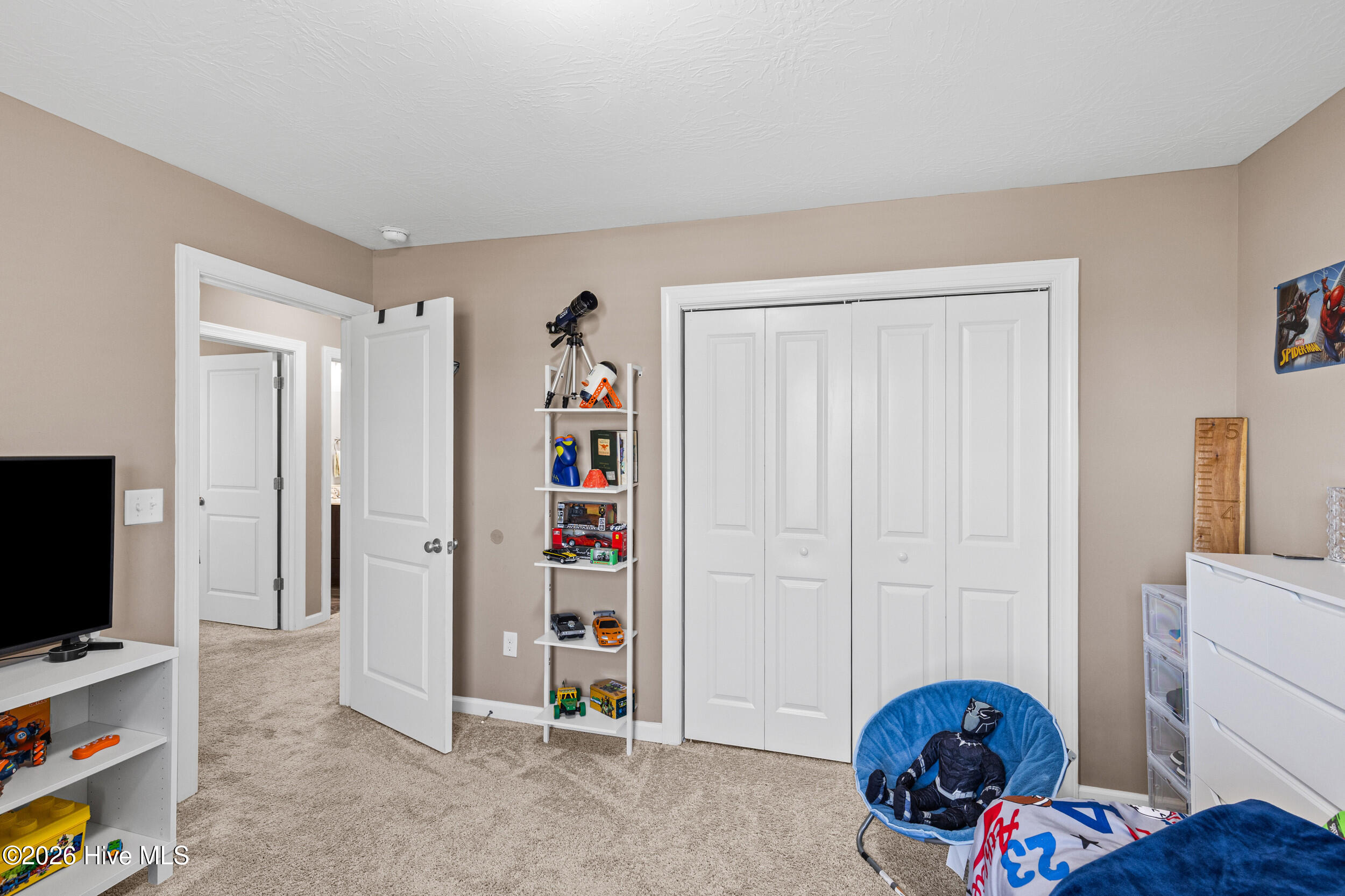 119 Brighton Landing Drive Property Photo 33