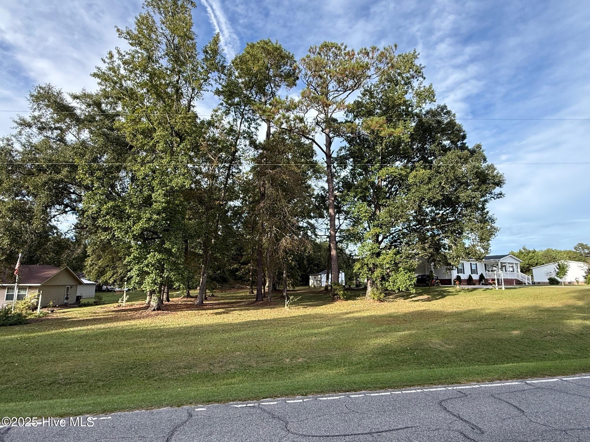 Lot #1 1 Prison Camp Road Property Photo 1