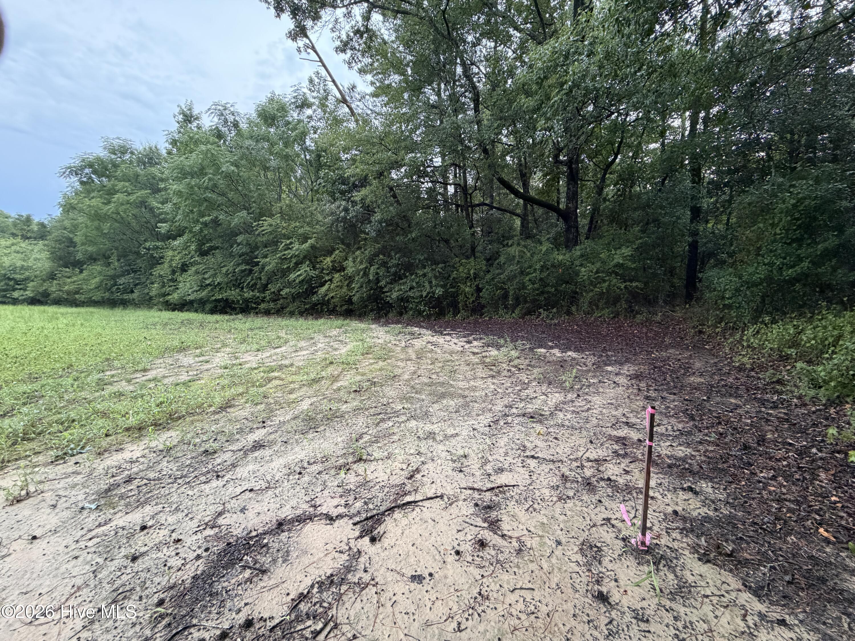 Lot 9 Point Caswell Road Property Photo 8