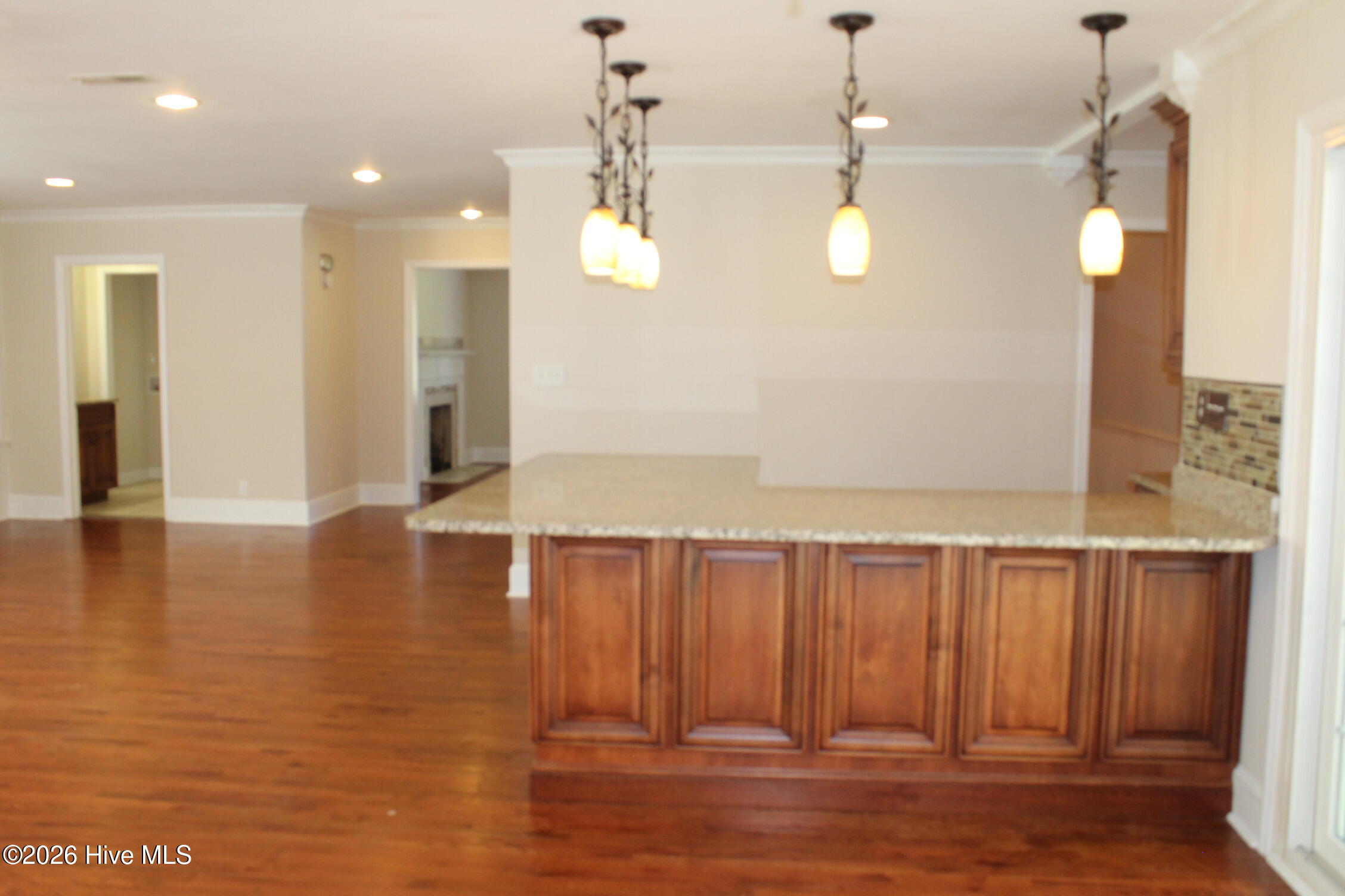 227 E College Street Property Photo 34