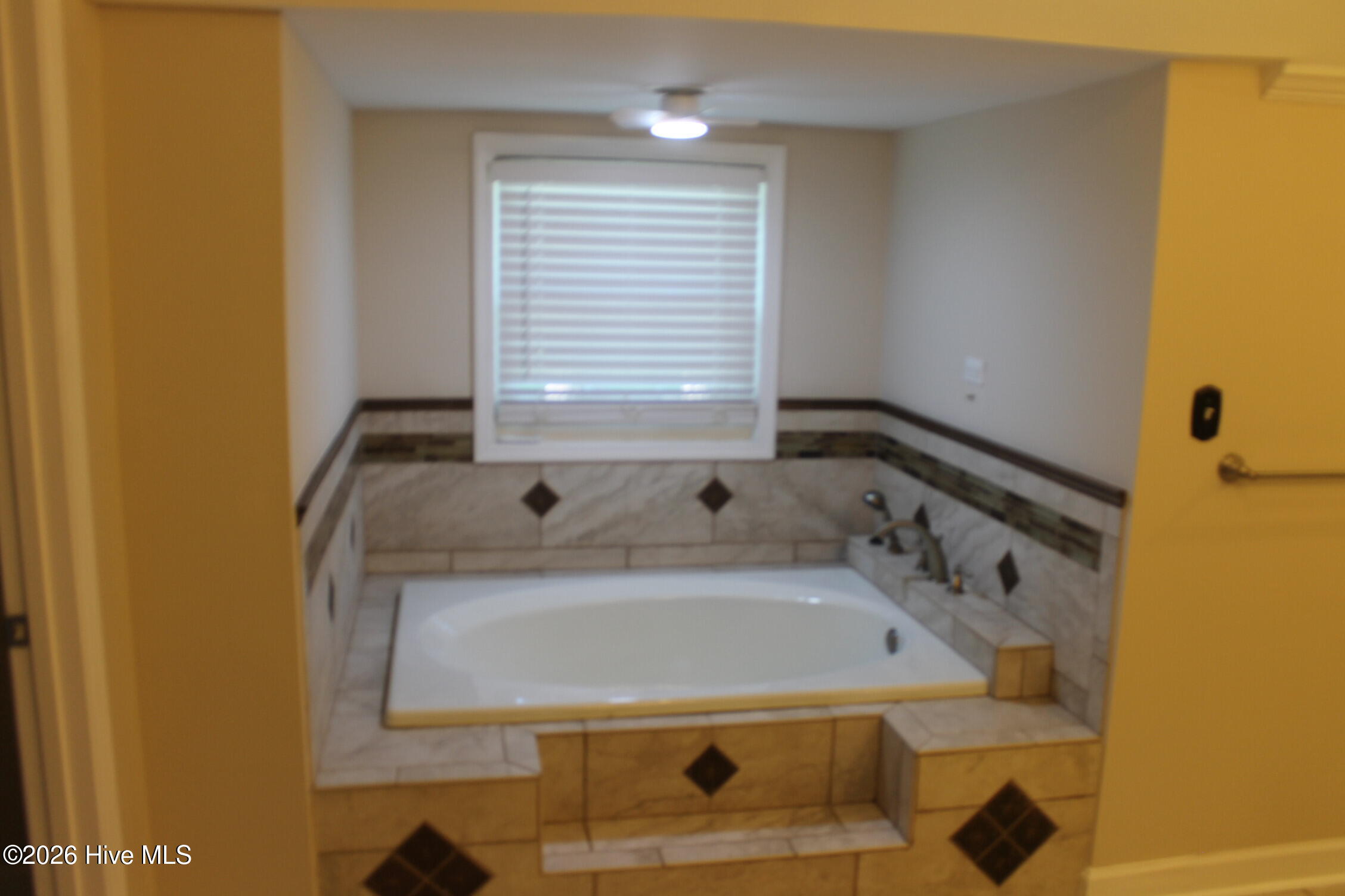 227 E College Street Property Photo 93
