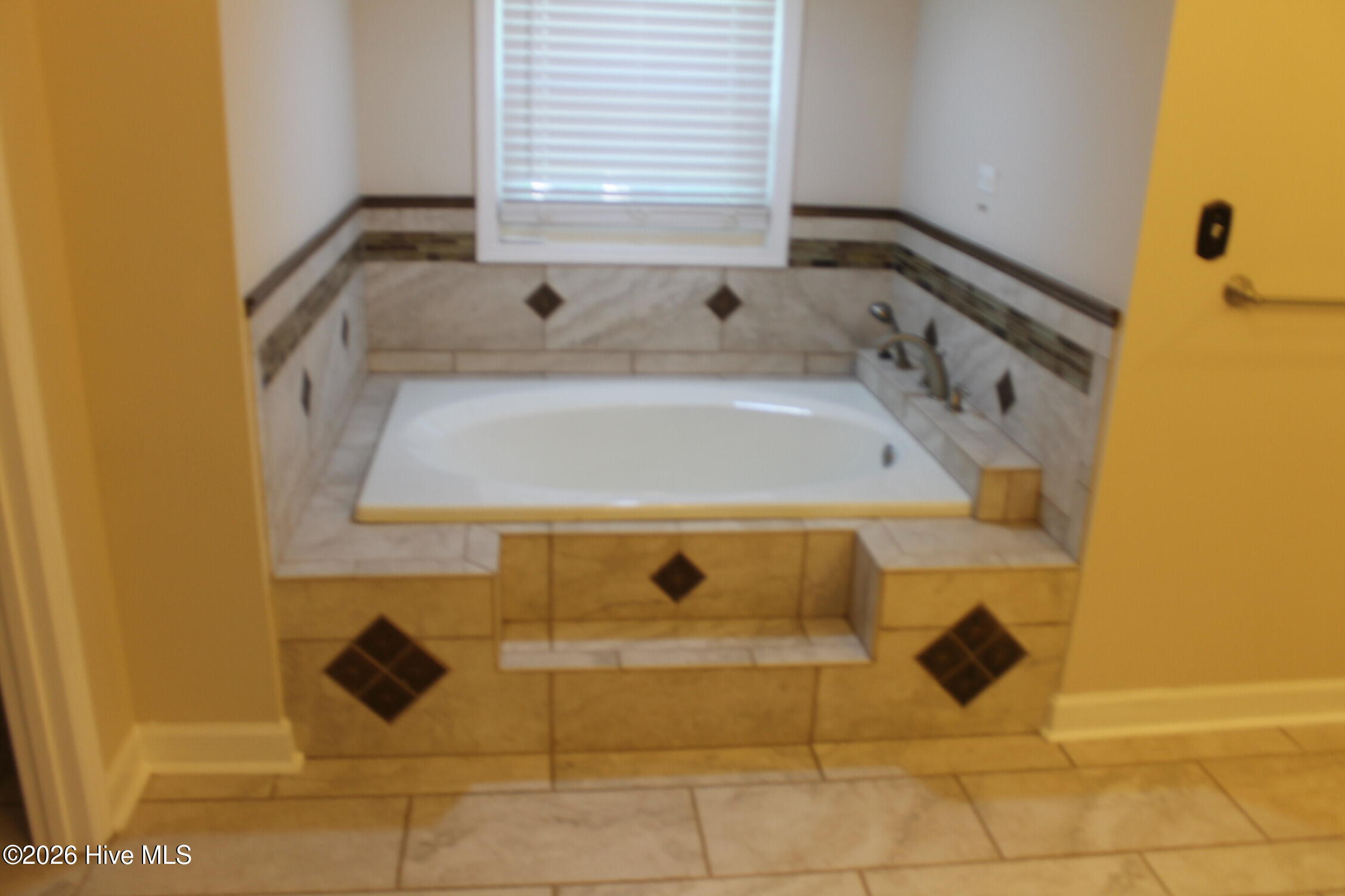 227 E College Street Property Photo 94