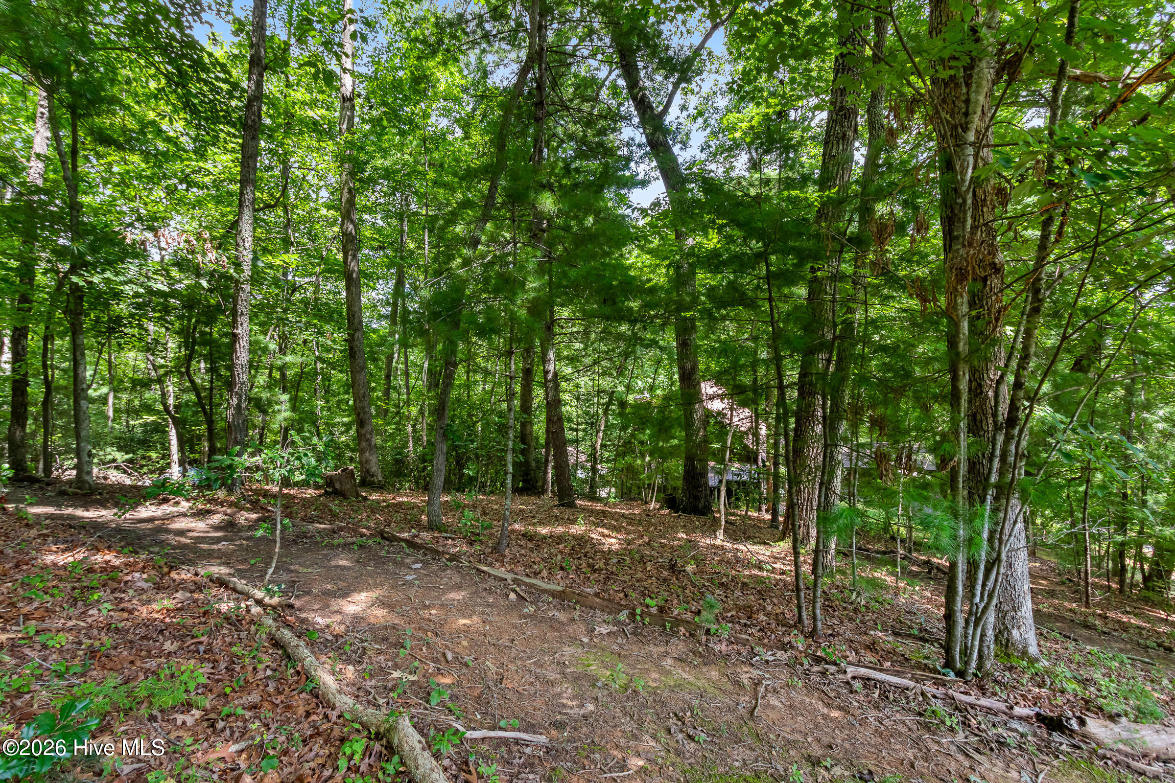 317 W Hills Drive Property Photo 60