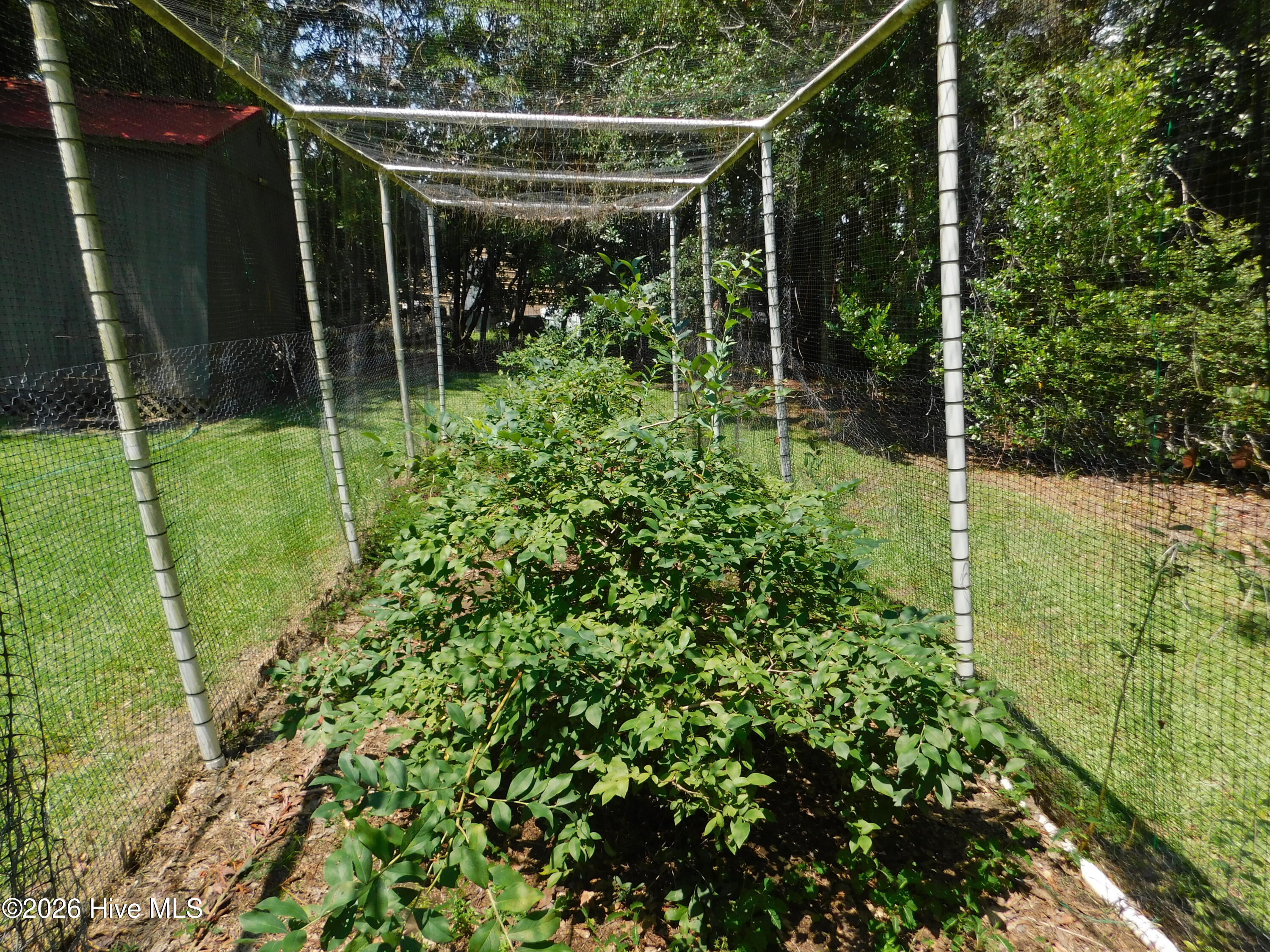 12621 Cotton Drive Property Photo 46