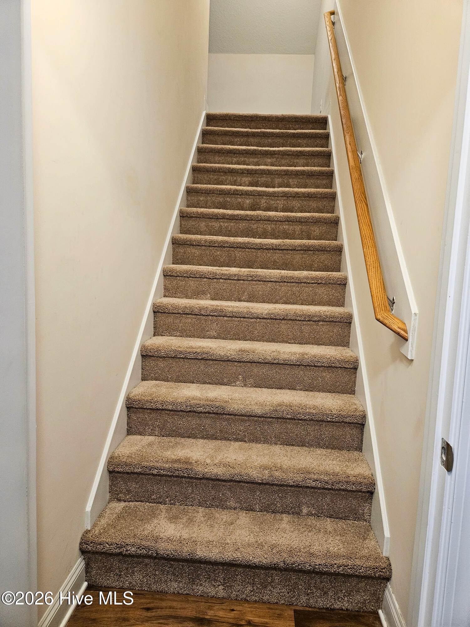 462 Water Wagon Trail Property Photo 40