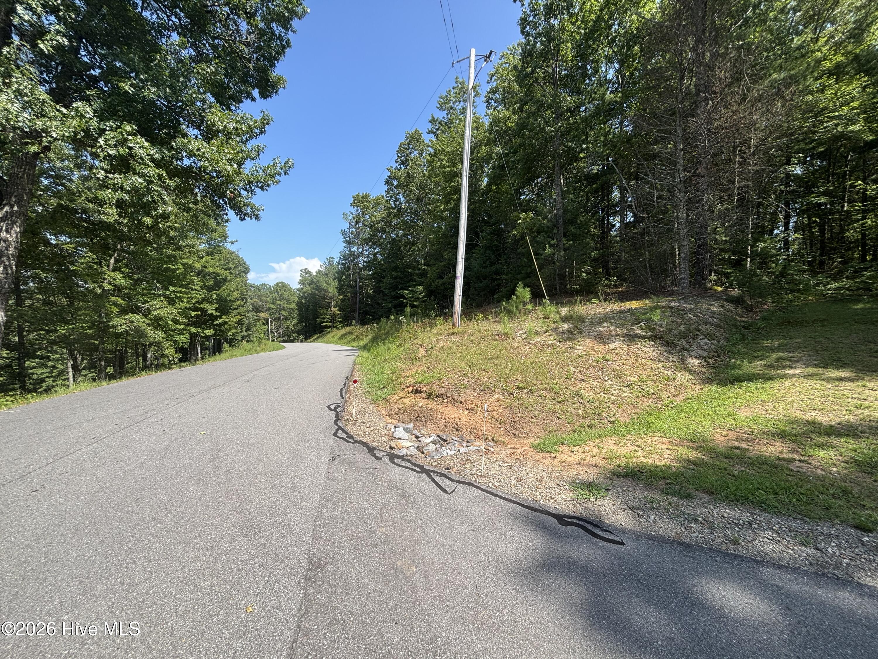 4 Majestic Mountain Trail Property Photo 2