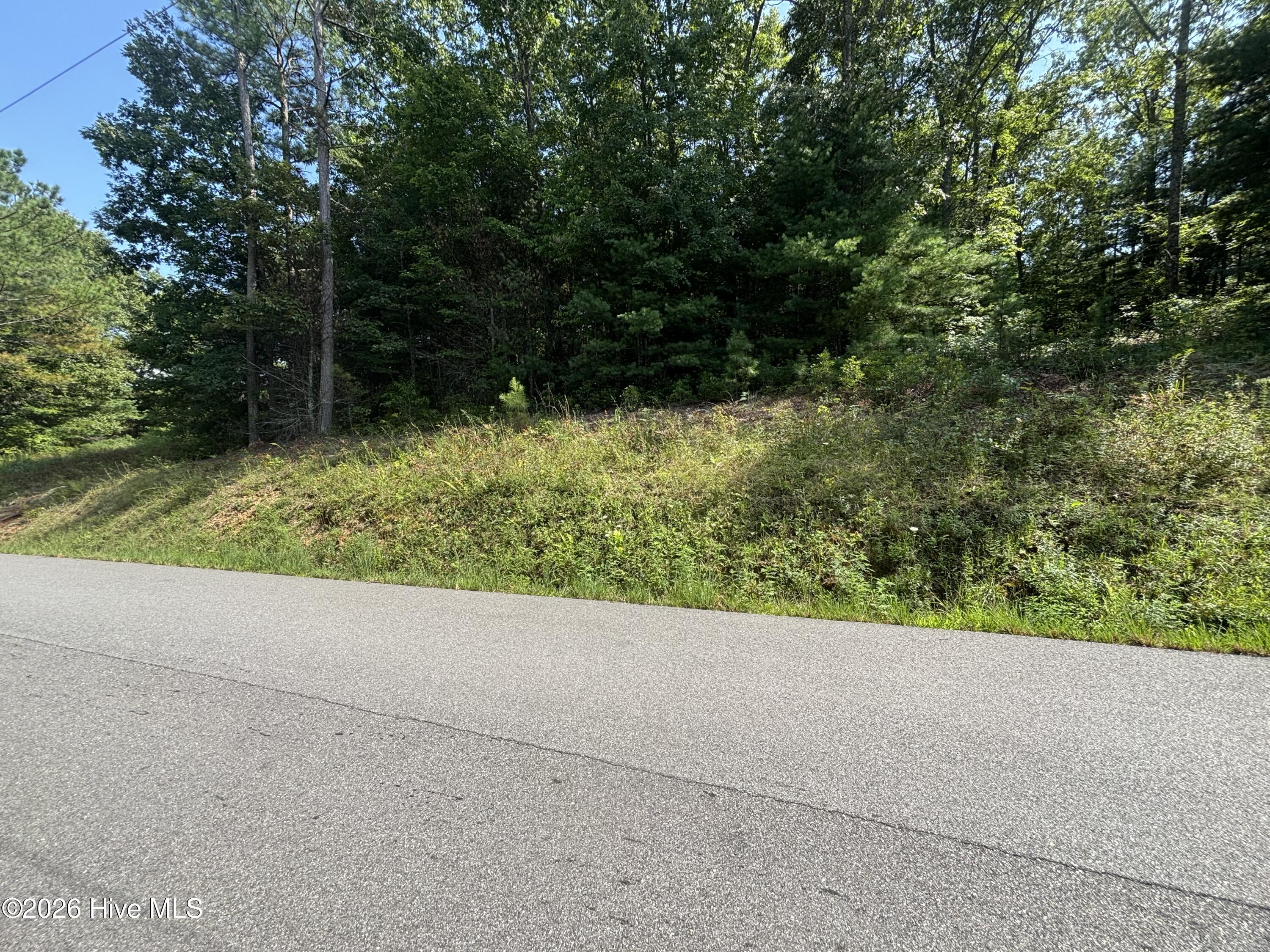 4 Majestic Mountain Trail Property Photo 5