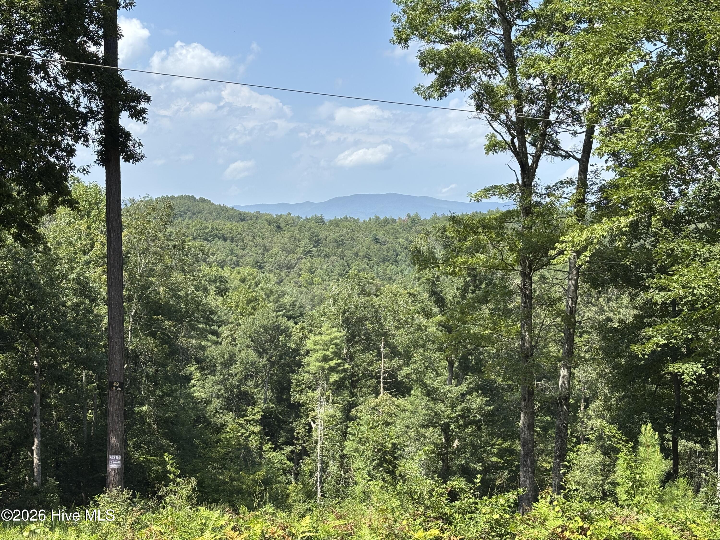 4 Majestic Mountain Trail Property Photo 7