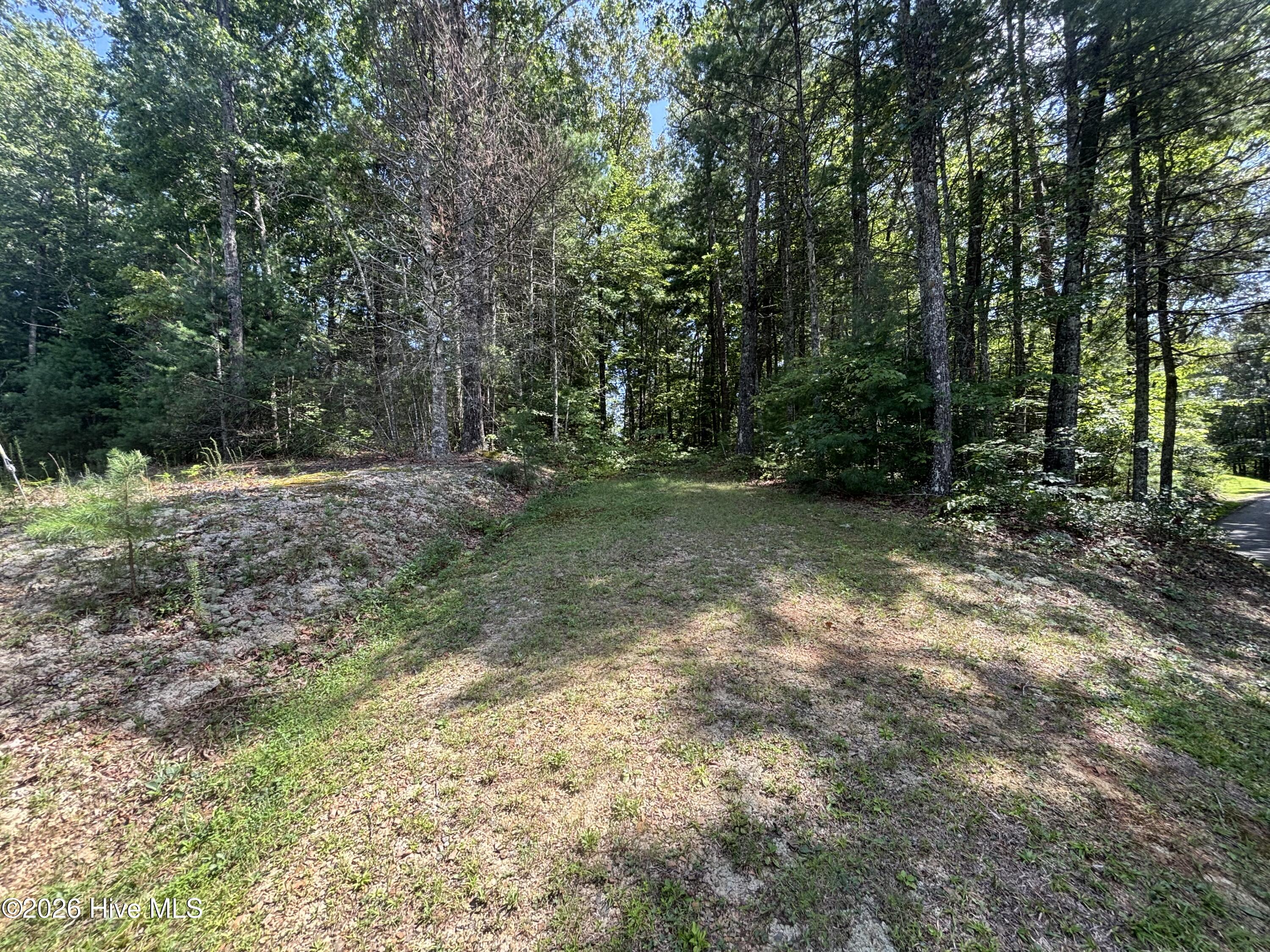 4 Majestic Mountain Trail Property Photo 8
