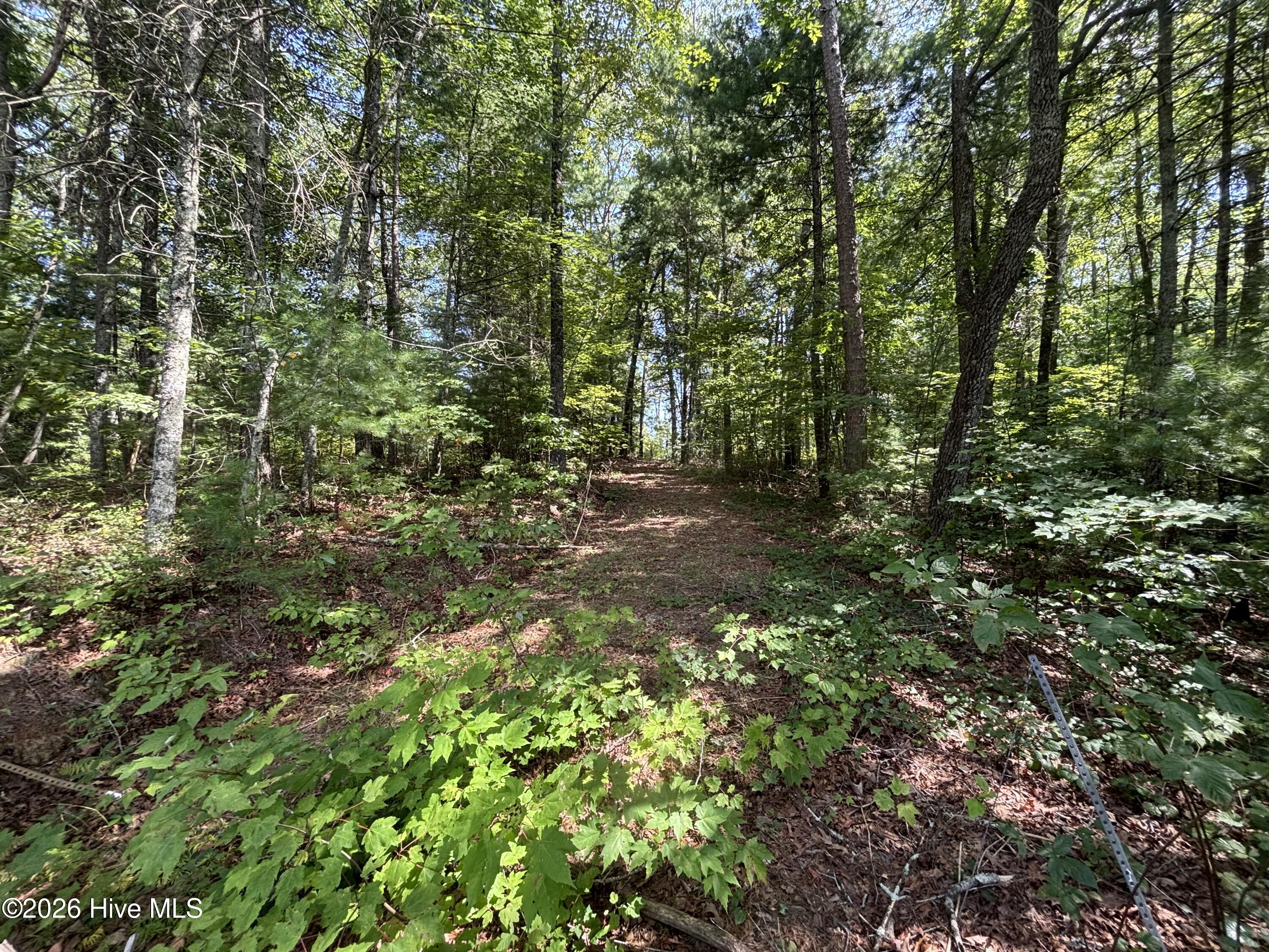 4 Majestic Mountain Trail Property Photo 9