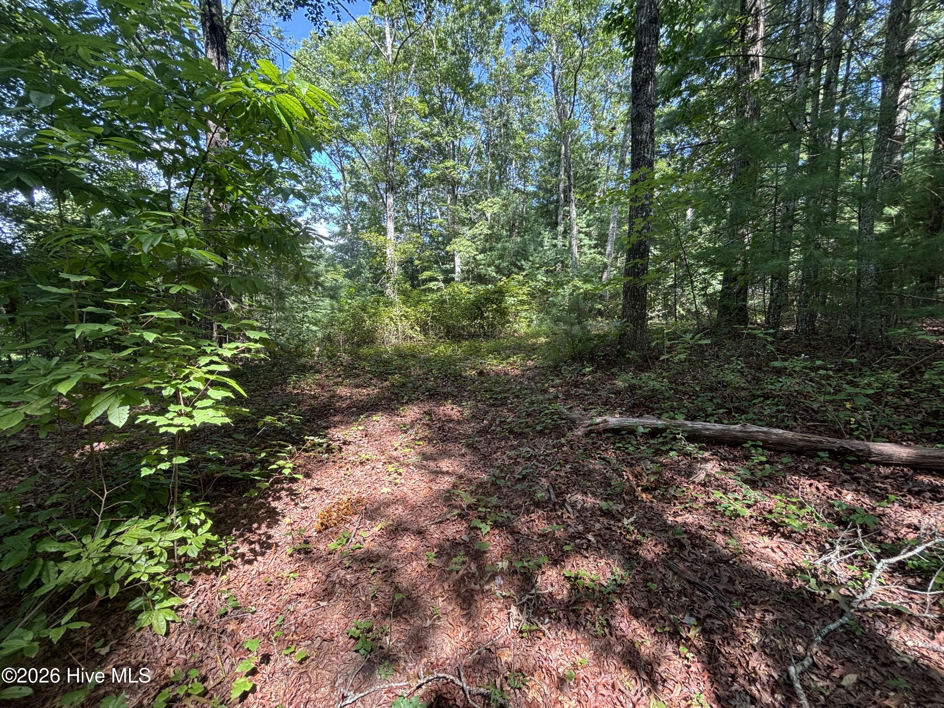 4 Majestic Mountain Trail Property Photo 10