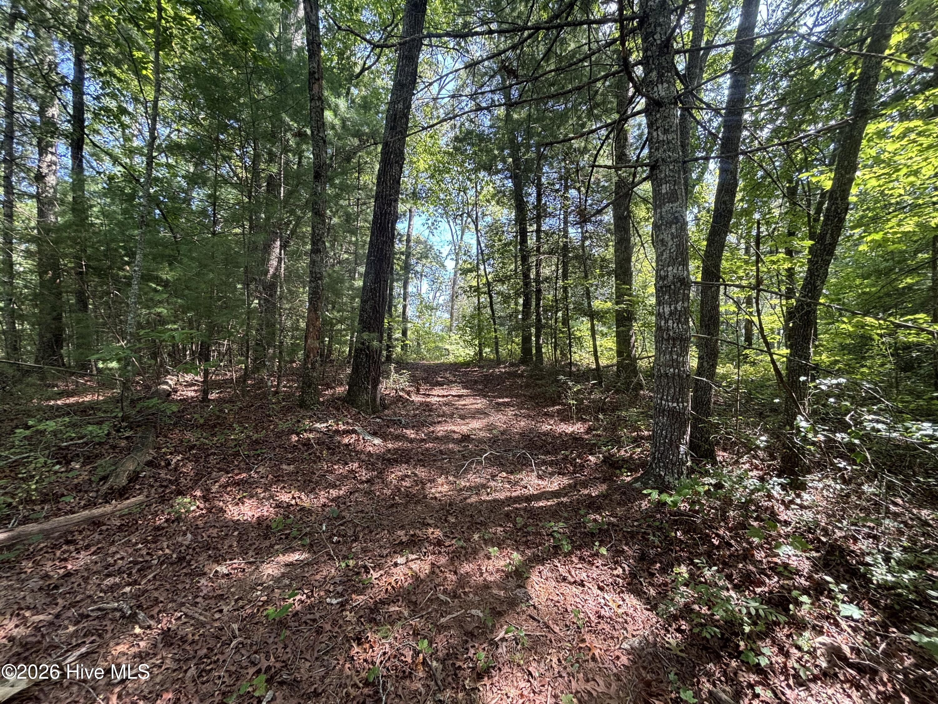 4 Majestic Mountain Trail Property Photo 11