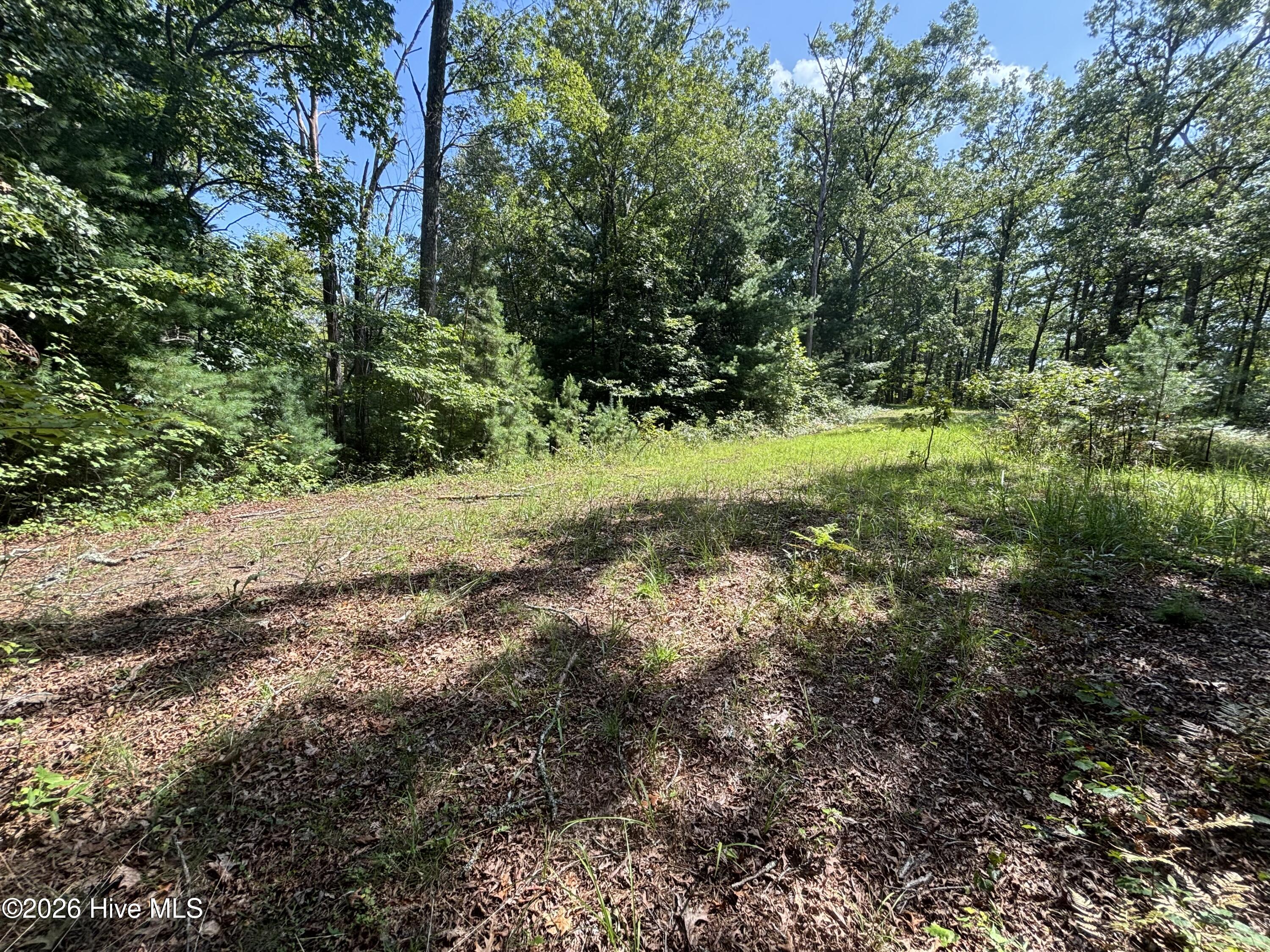 4 Majestic Mountain Trail Property Photo 12