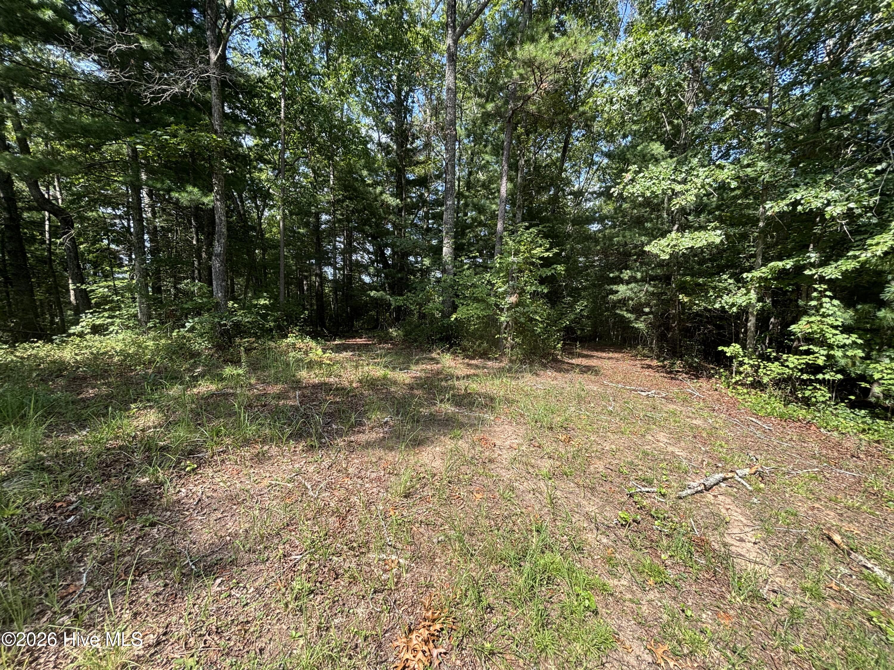 4 Majestic Mountain Trail Property Photo 13