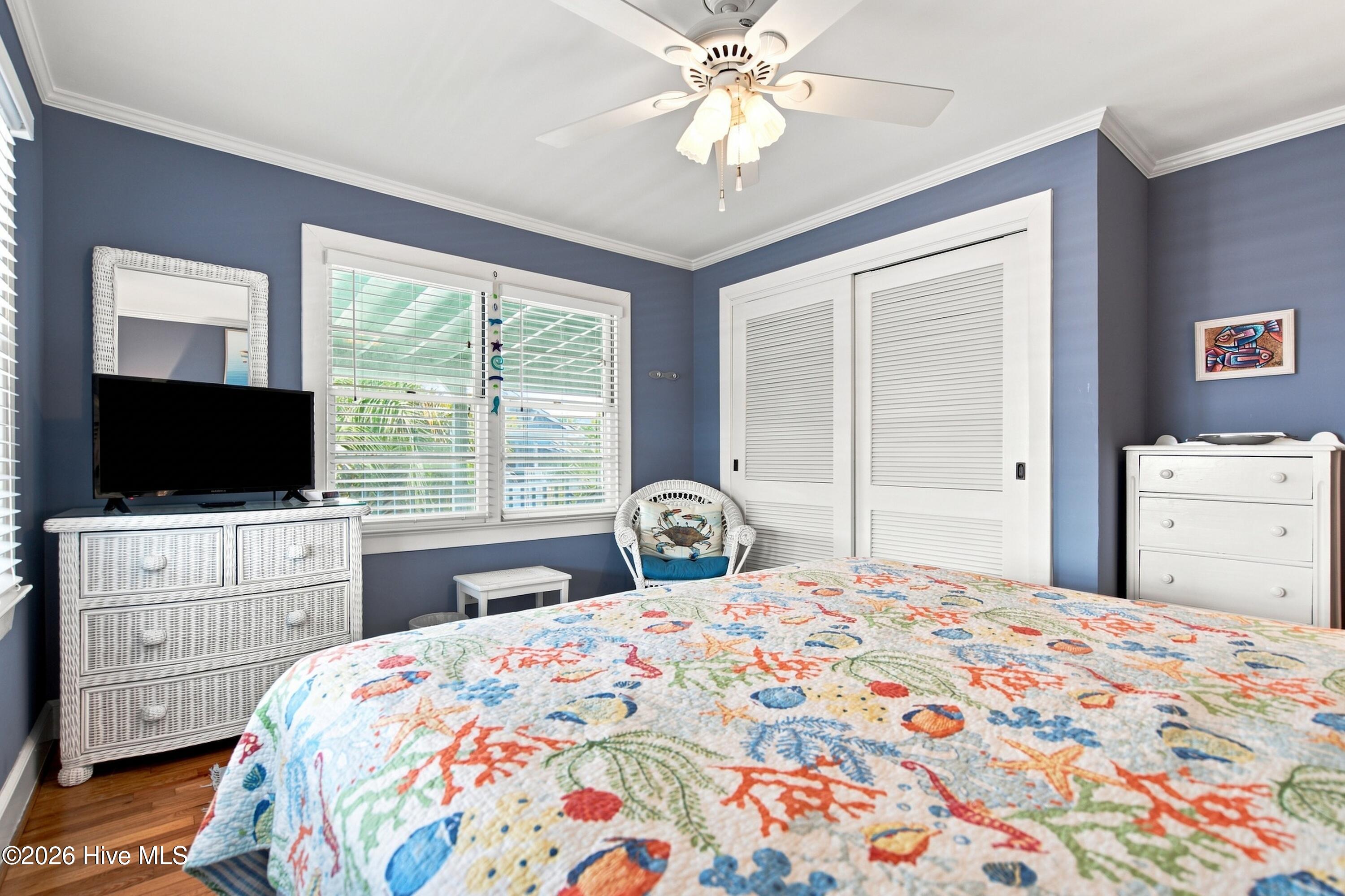 5 Augusta Street Property Photo 38