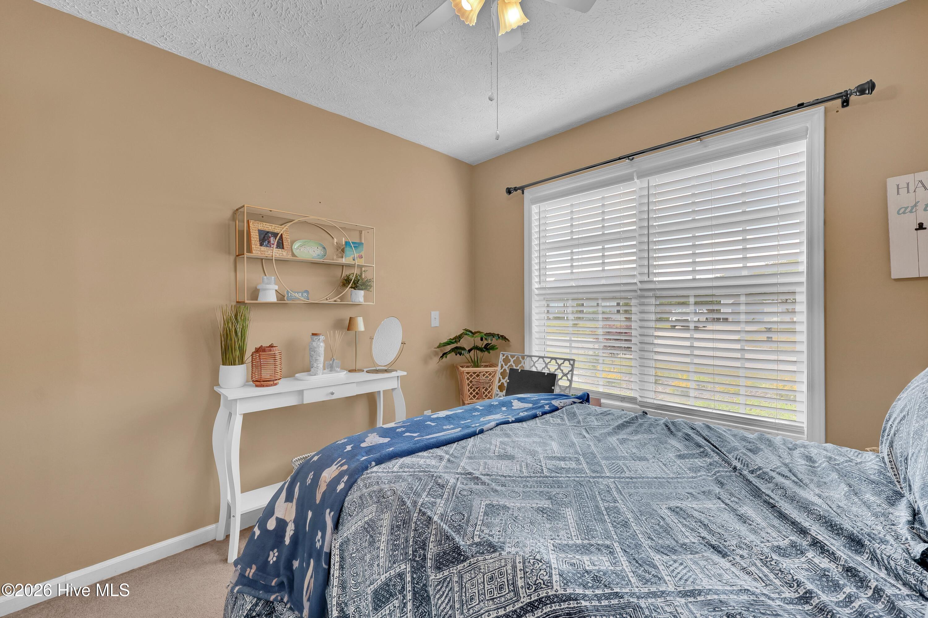 2617 Ashby Drive Property Photo 13