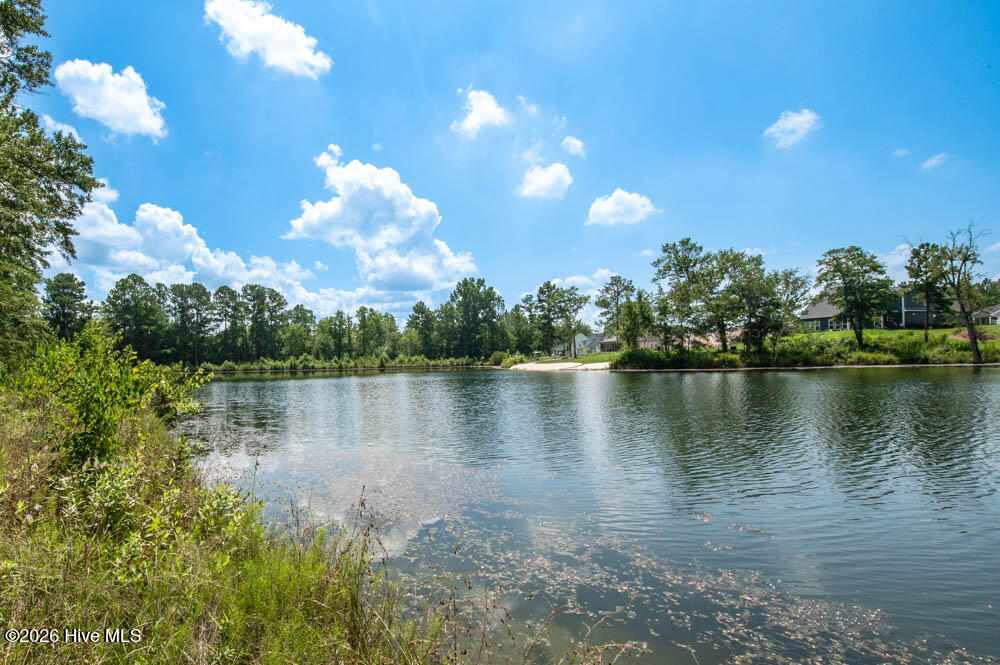 4107 Shimmer Lake Lane Property Photo 11