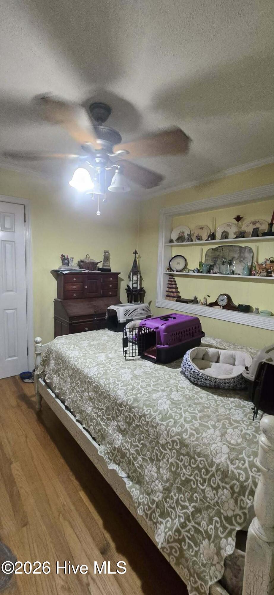 2818 Rocky Creek Road Property Photo 11