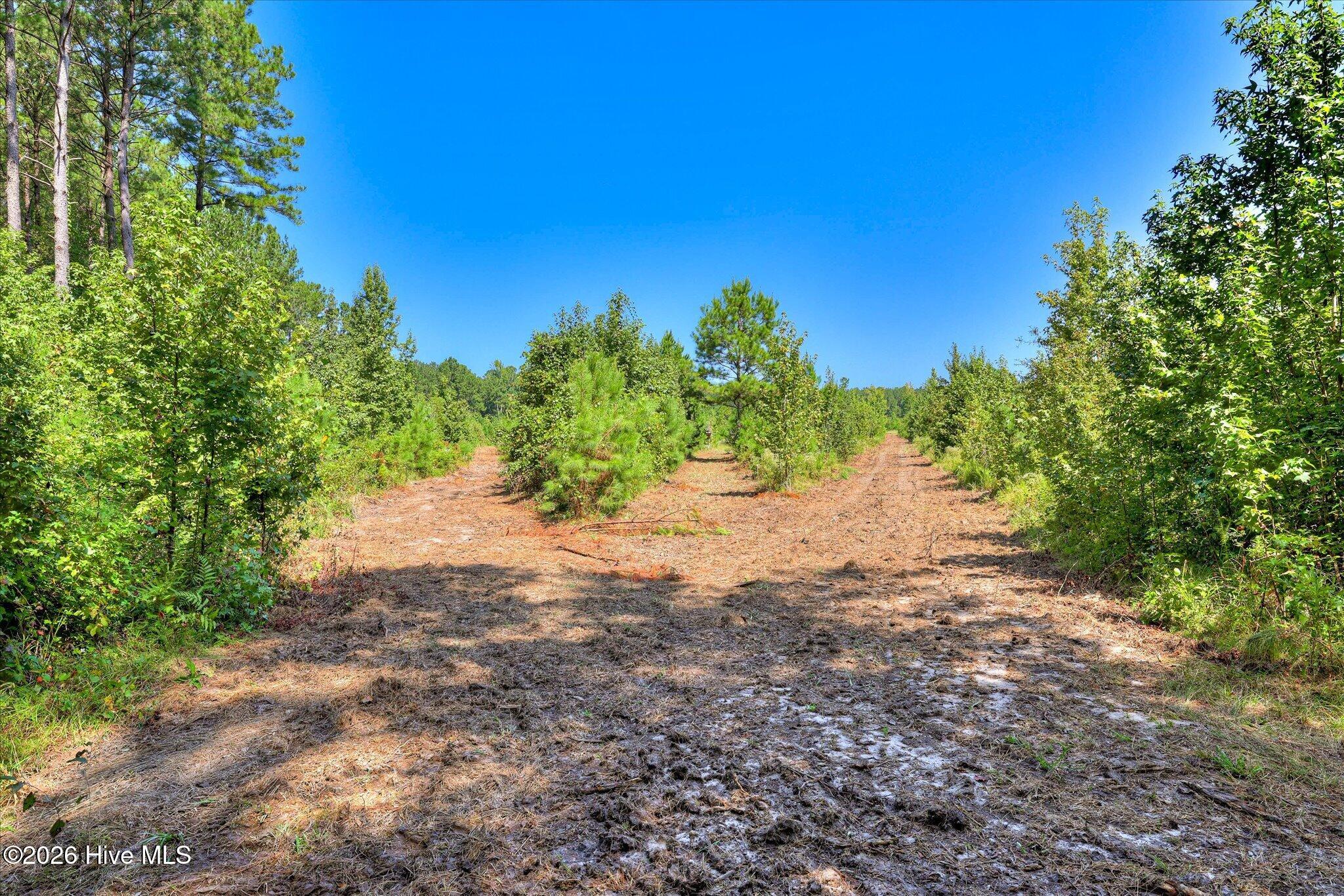 170 Landing Road Property Photo 15