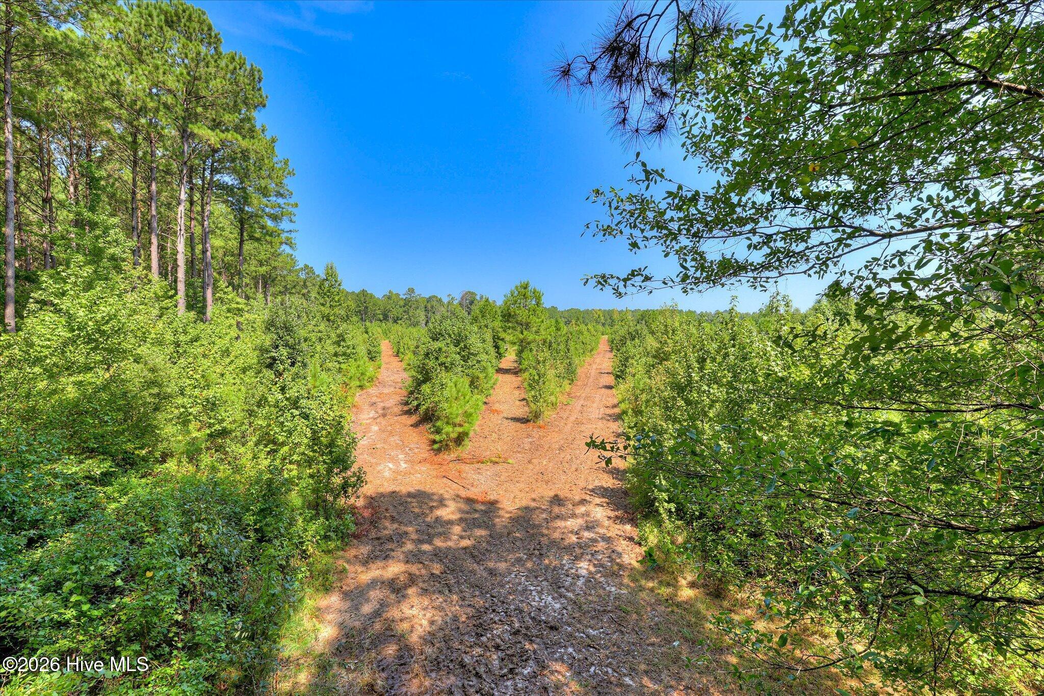170 Landing Road Property Photo 16