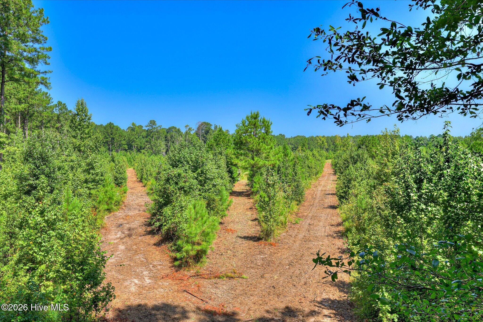 170 Landing Road Property Photo 17