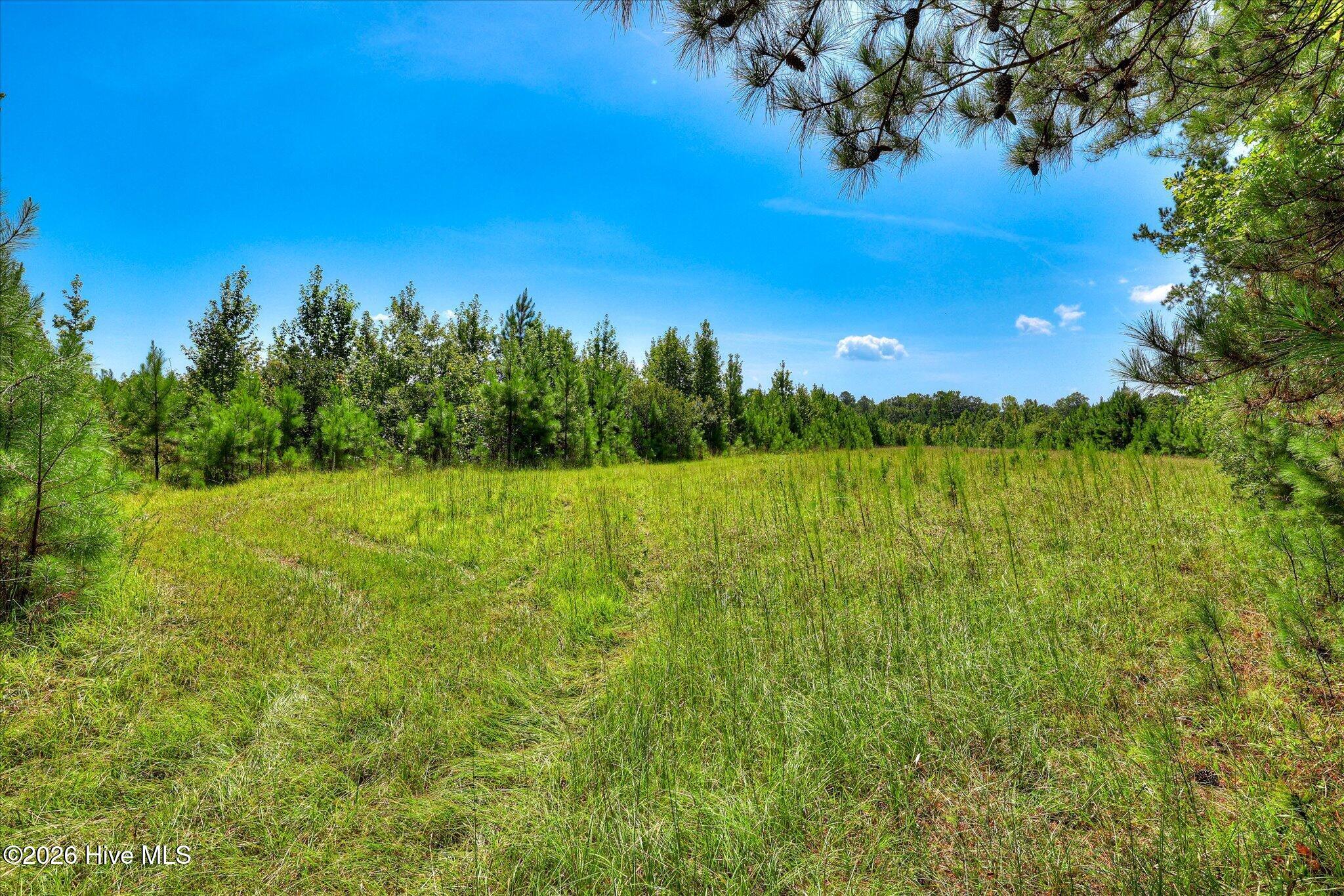 170 Landing Road Property Photo 24